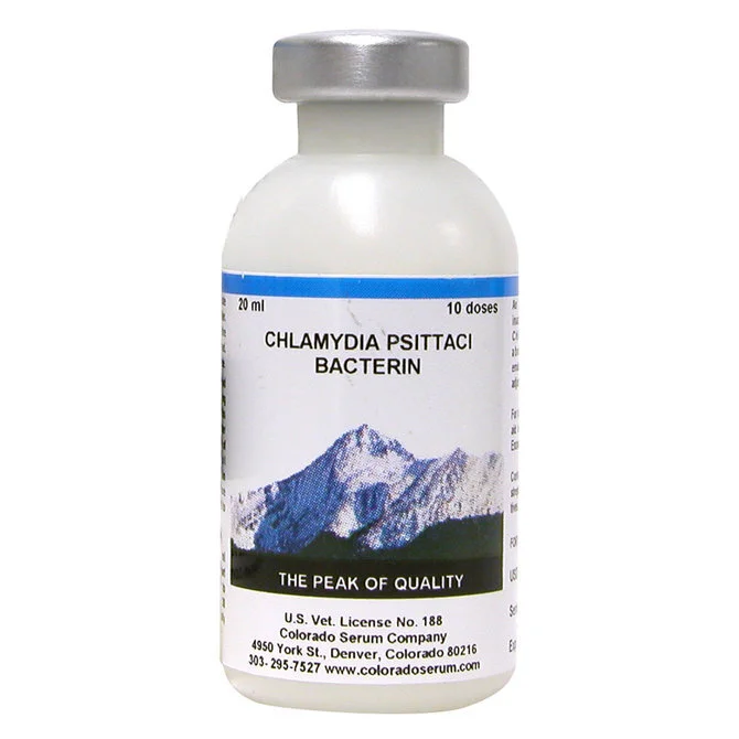chlamydia.jpg
