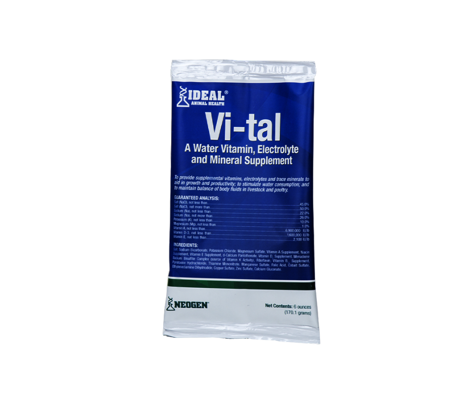 vi-tal.png