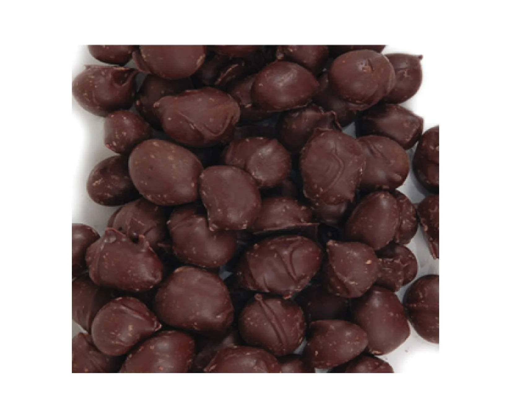 Chocolate Covered Peanuts