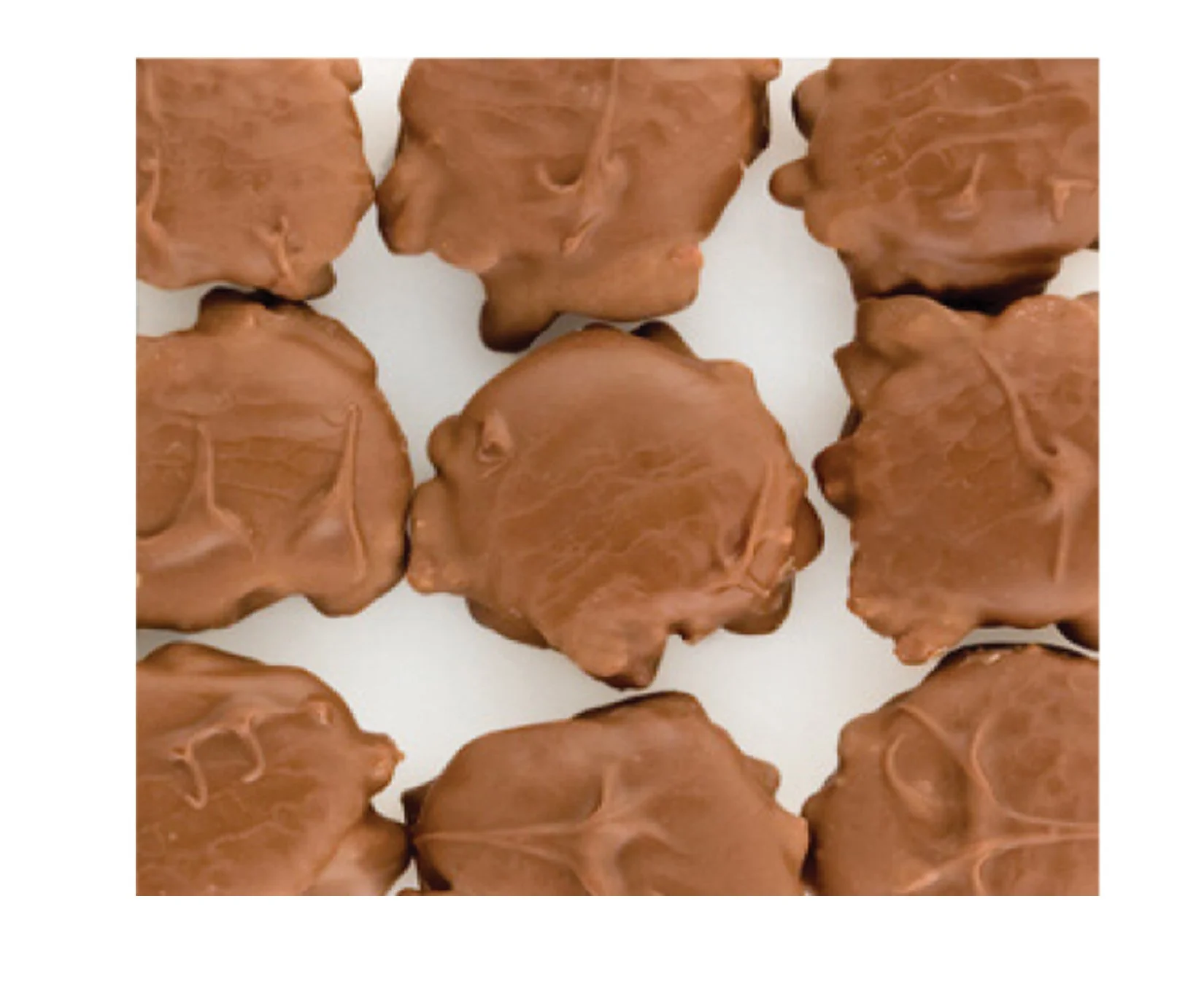 Carmel Pecan Clusters