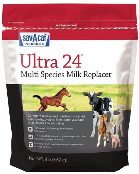 Grade A Ultra 24%