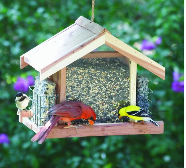 Deluxe Chalet Feeder
