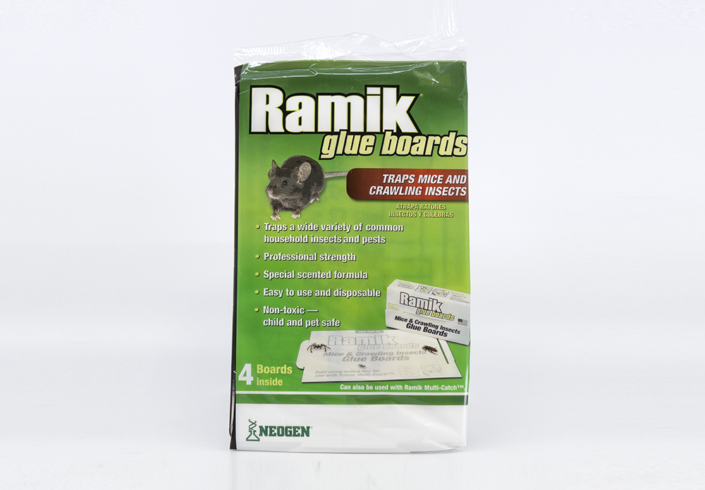 Ramik Mouse & Insect Glue Board