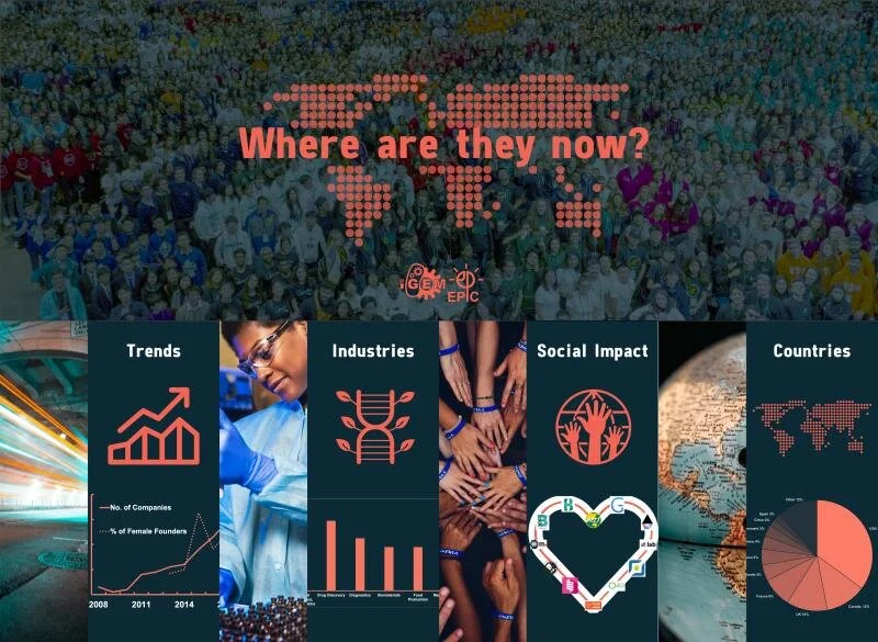 iGEM BioFounders on the rise