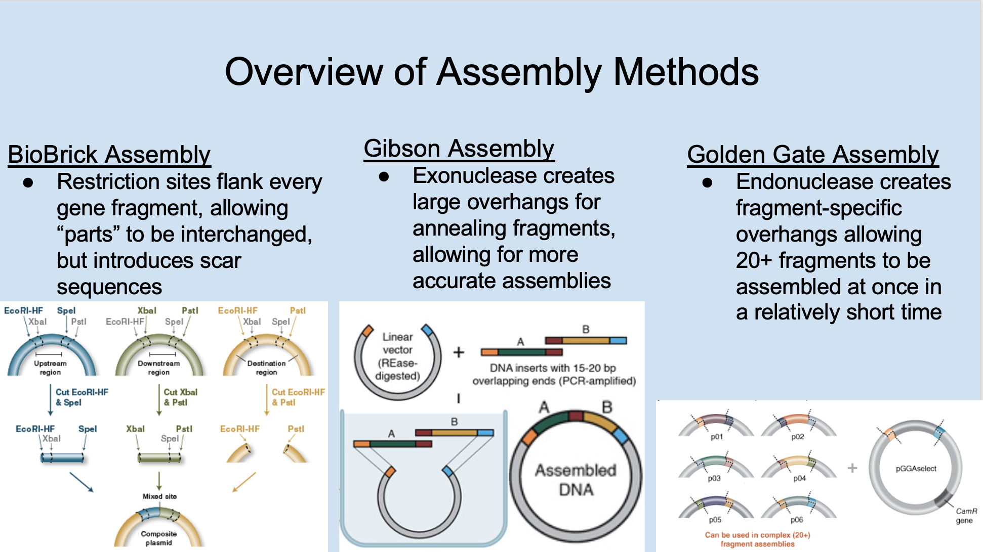 igem blog igem competition
