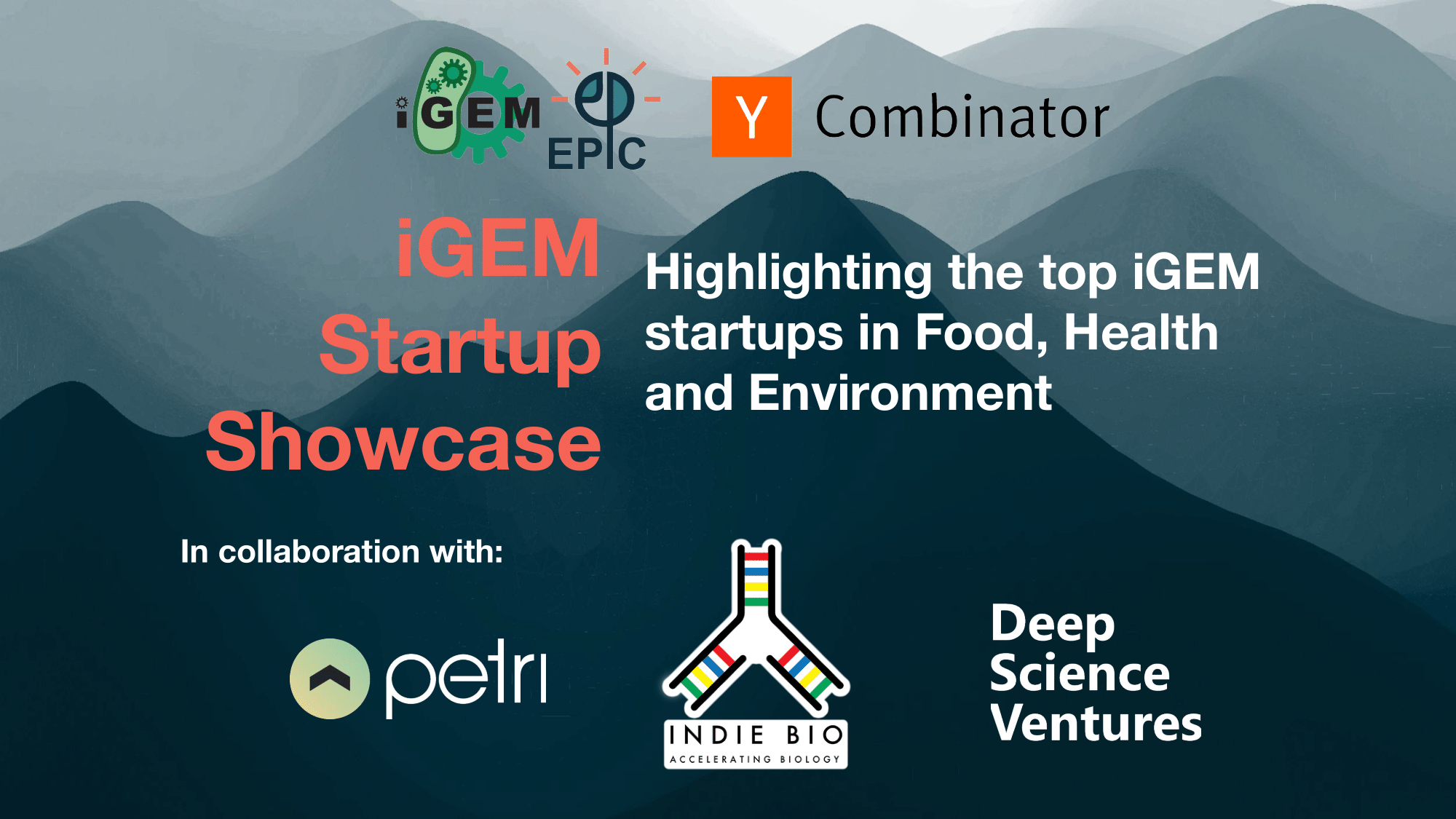 Highlights from the Startup Showcase 2020