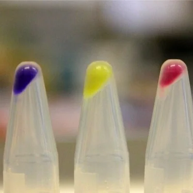 Contribution: The 3rd of a 4-part series on iGEM 2021