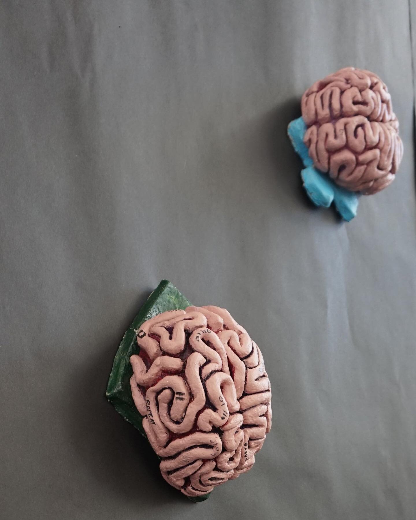 My Decaying Mind
  A throwback to my first art series &ldquo;Forever Continuously Infinite.&rdquo; These 3 brains were a representative of my mind decaying through the stress put on myself to achieve perfection. This is represented in the change of c