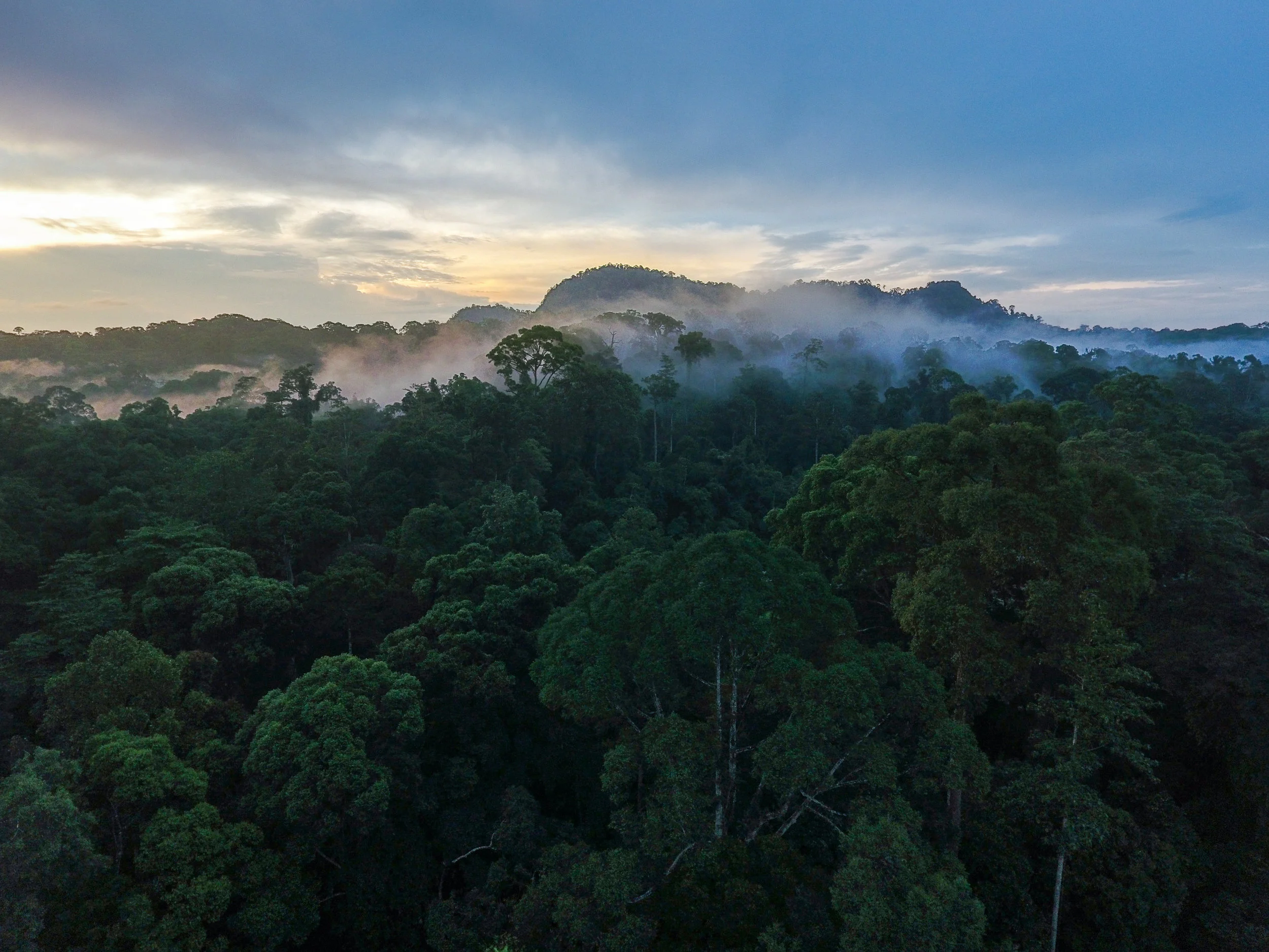 Photo Credit: Rainforest Trust