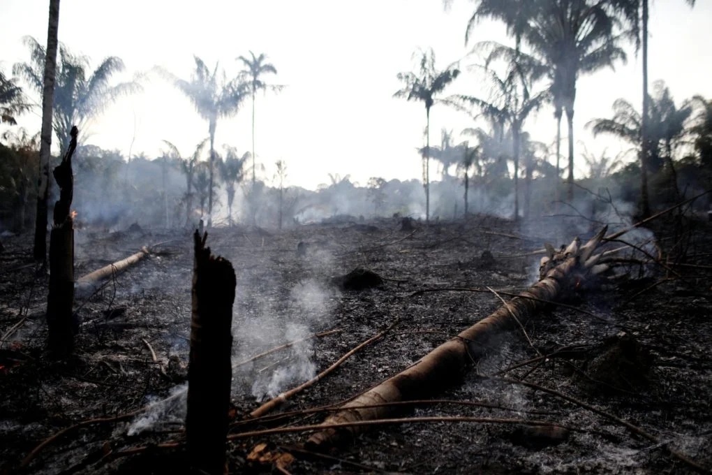 Photo Credit: Bruno Kelly/Reuters (Rainforest Action Network)