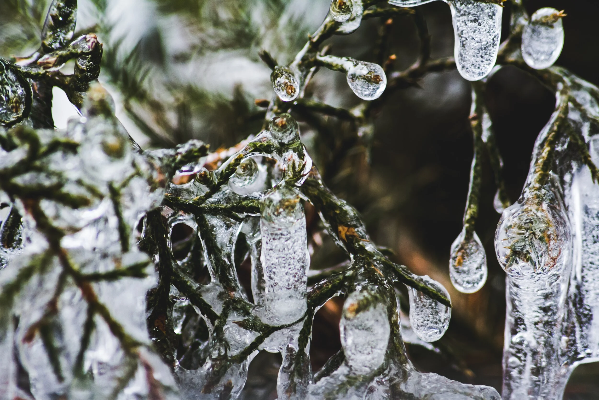 Ice, Ice: What a Freeze Means for IFCD 3