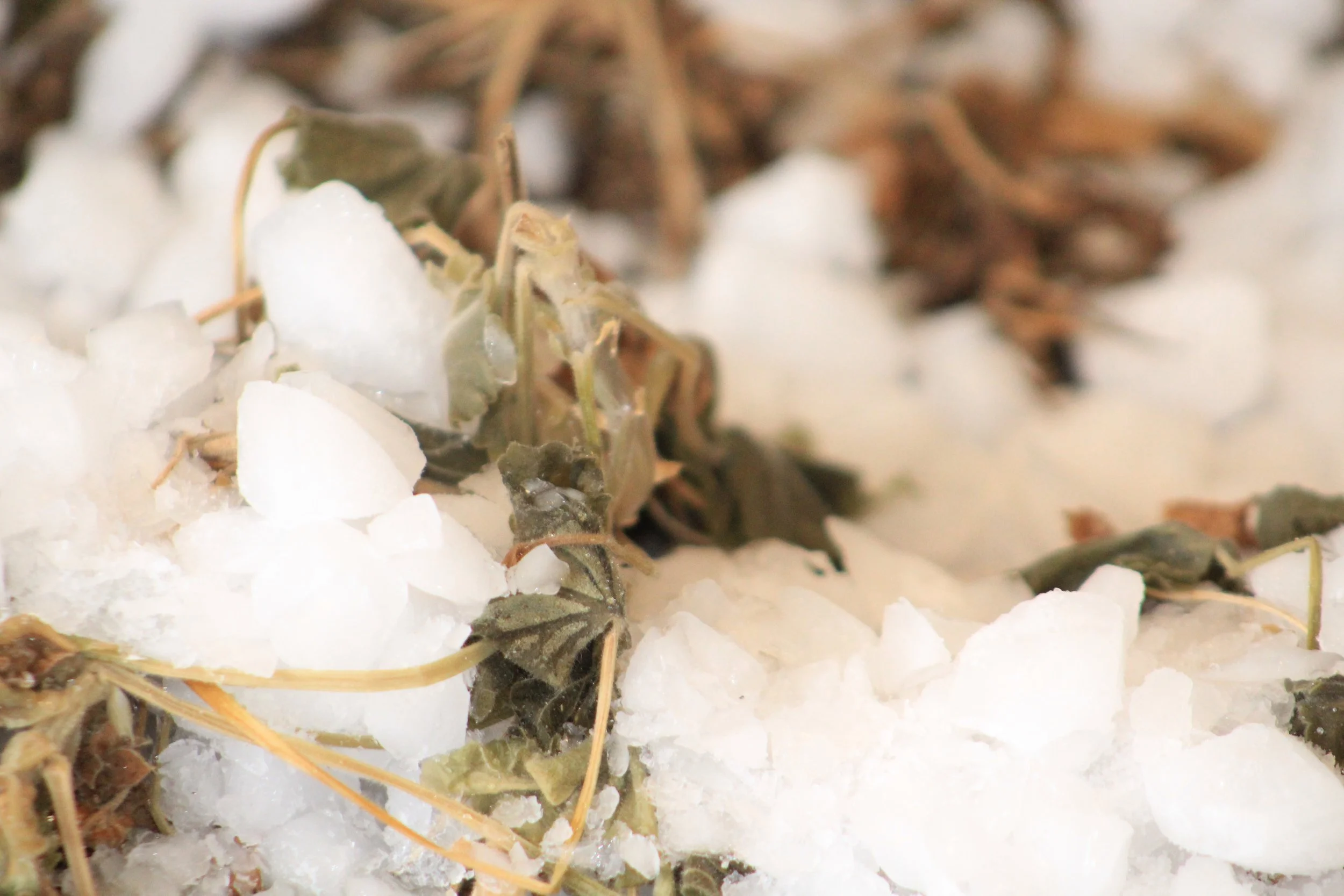 Preparing For and Protecting Against Freezing Temperatures