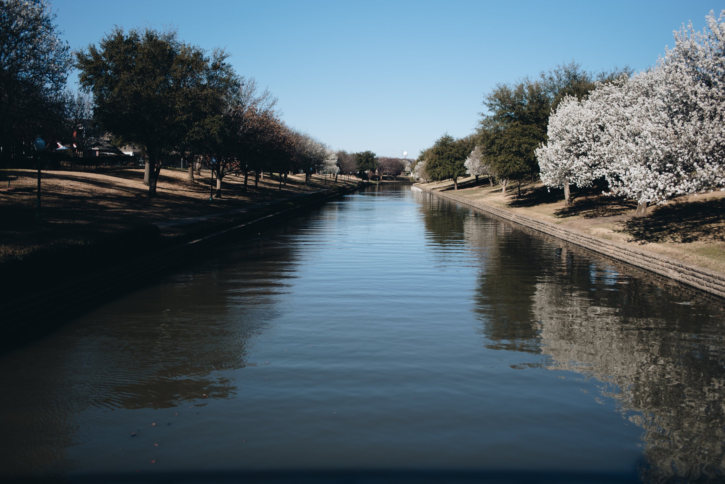 Into the Vault: IFCD 3 And DCURD’s Relationship Explained