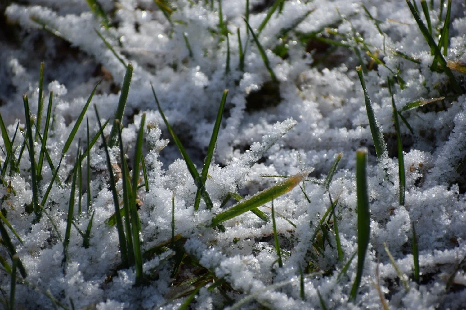 Into the Vault: Preparing for and Protecting Against Freezing Temperatures