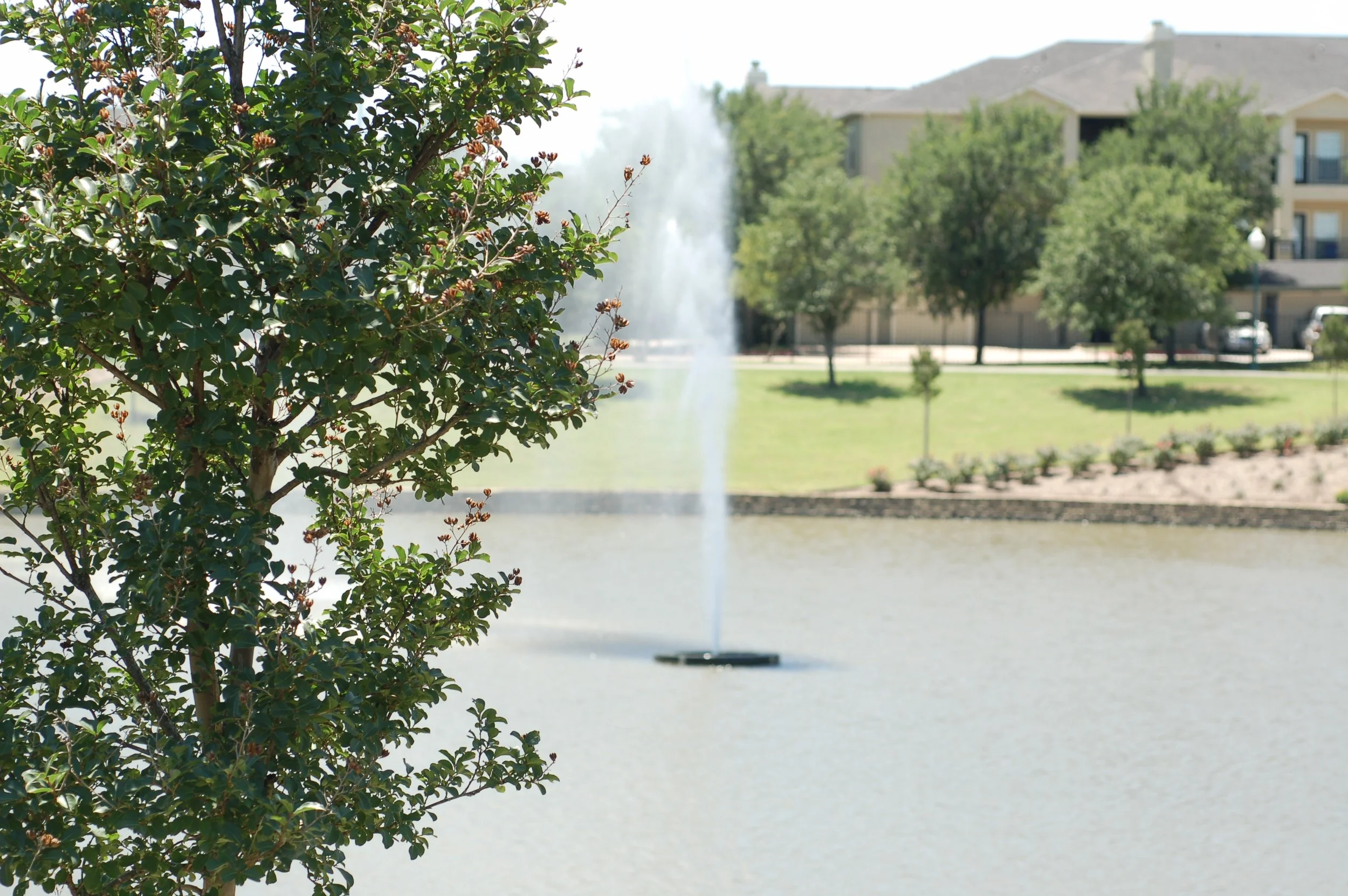 Journey Through Our Waterways