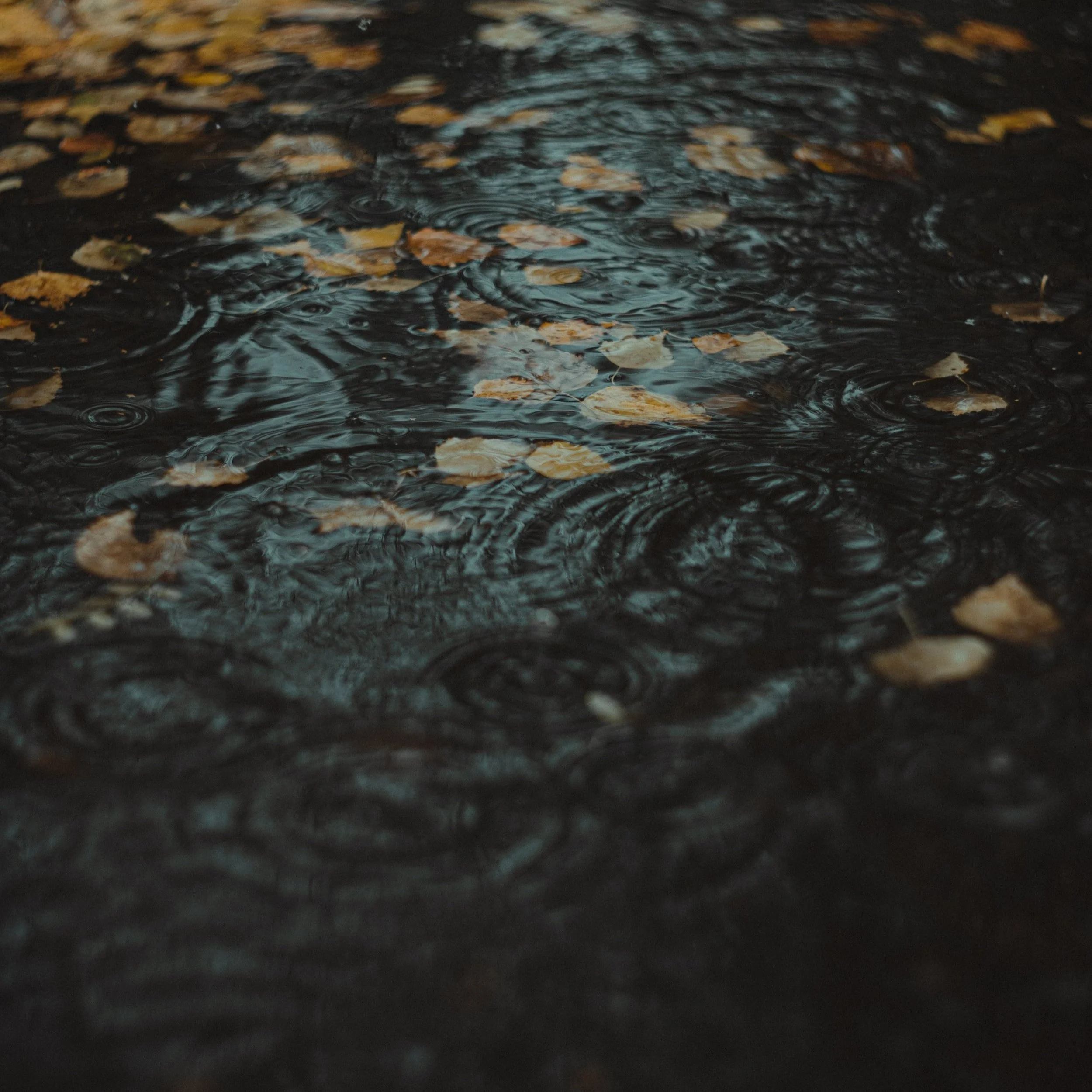 Weather or Climate?