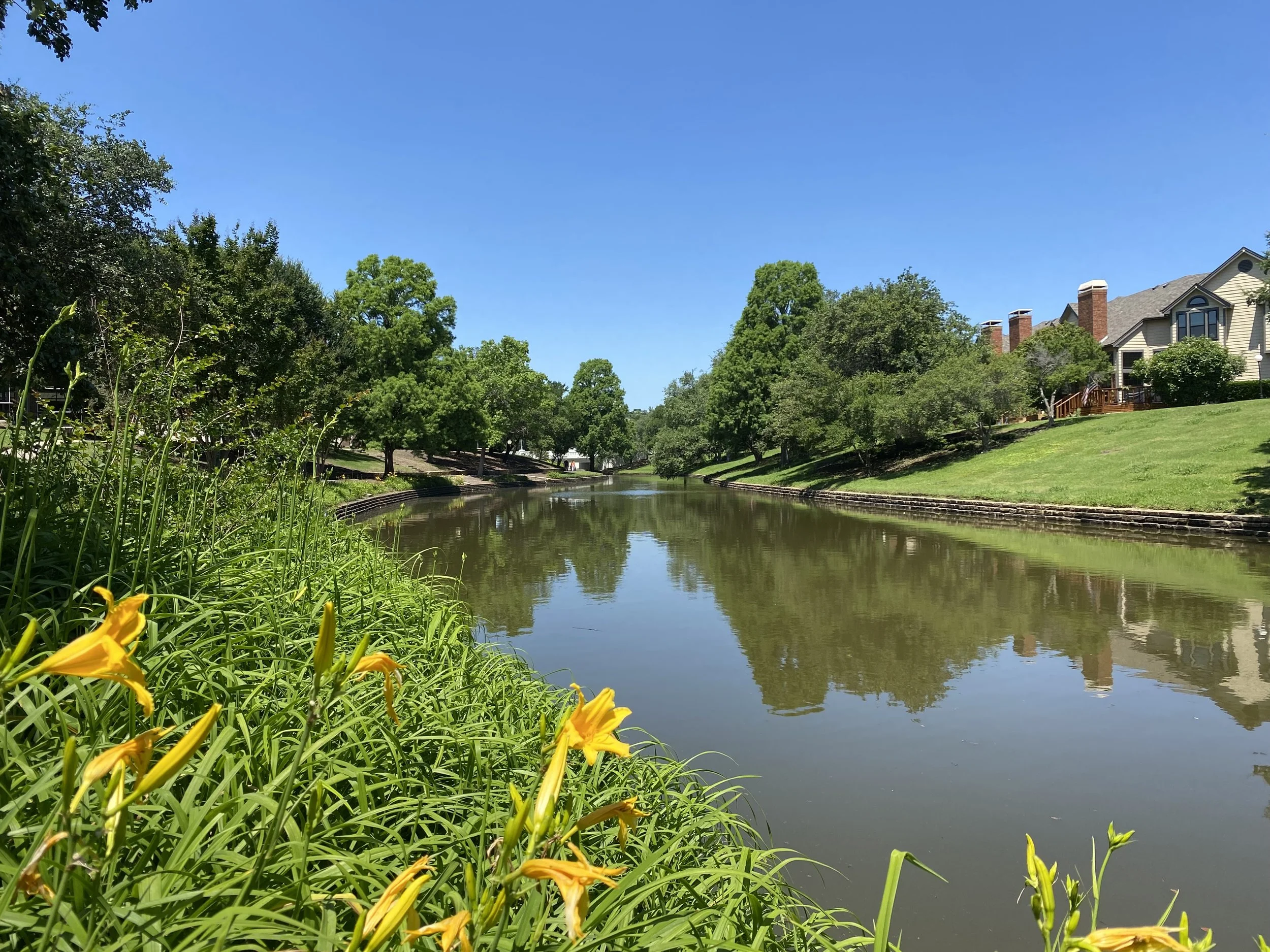 Your Questions Answered with IFCD 3