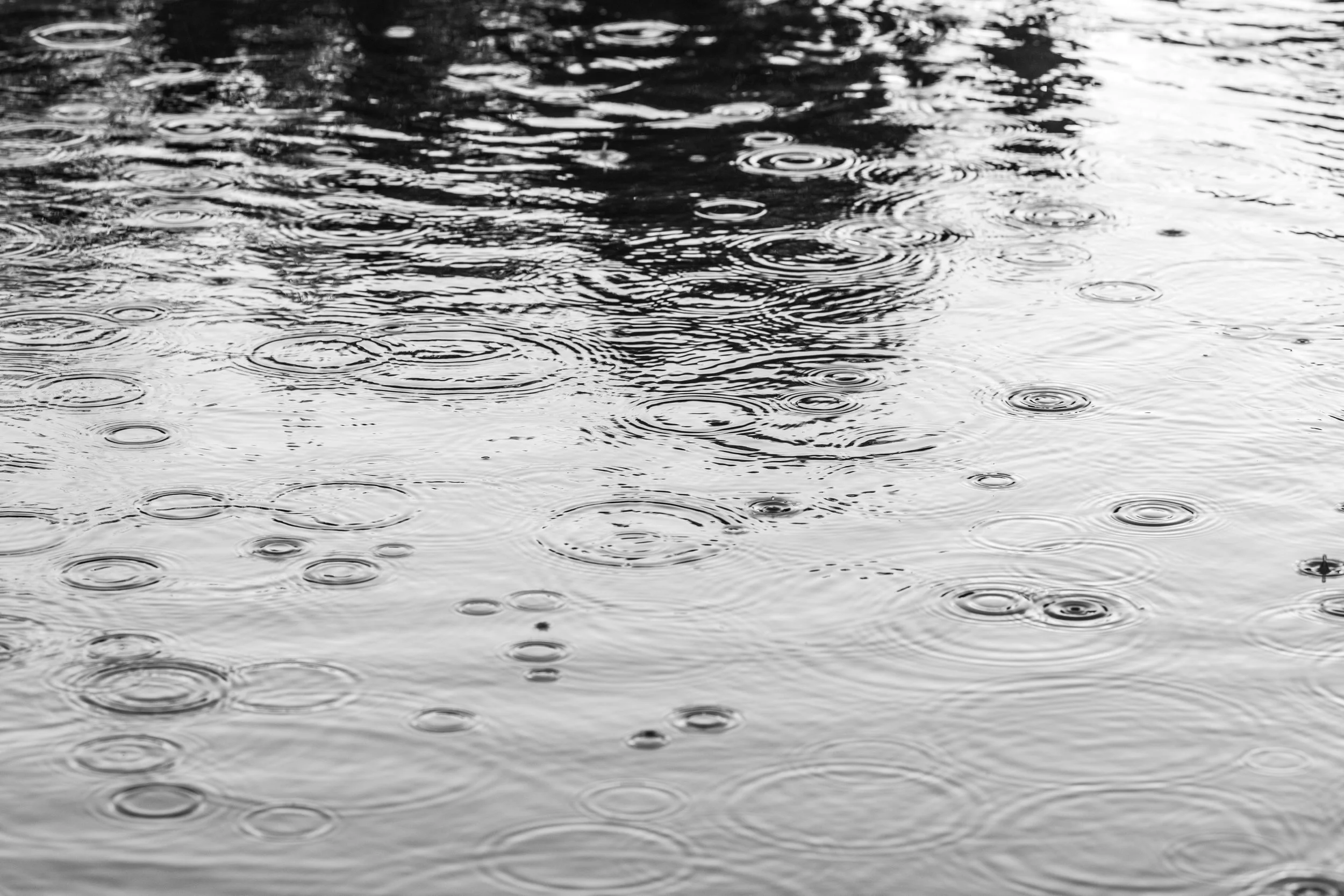 Chasing Raindrops: The Journey Through Valley Ranch