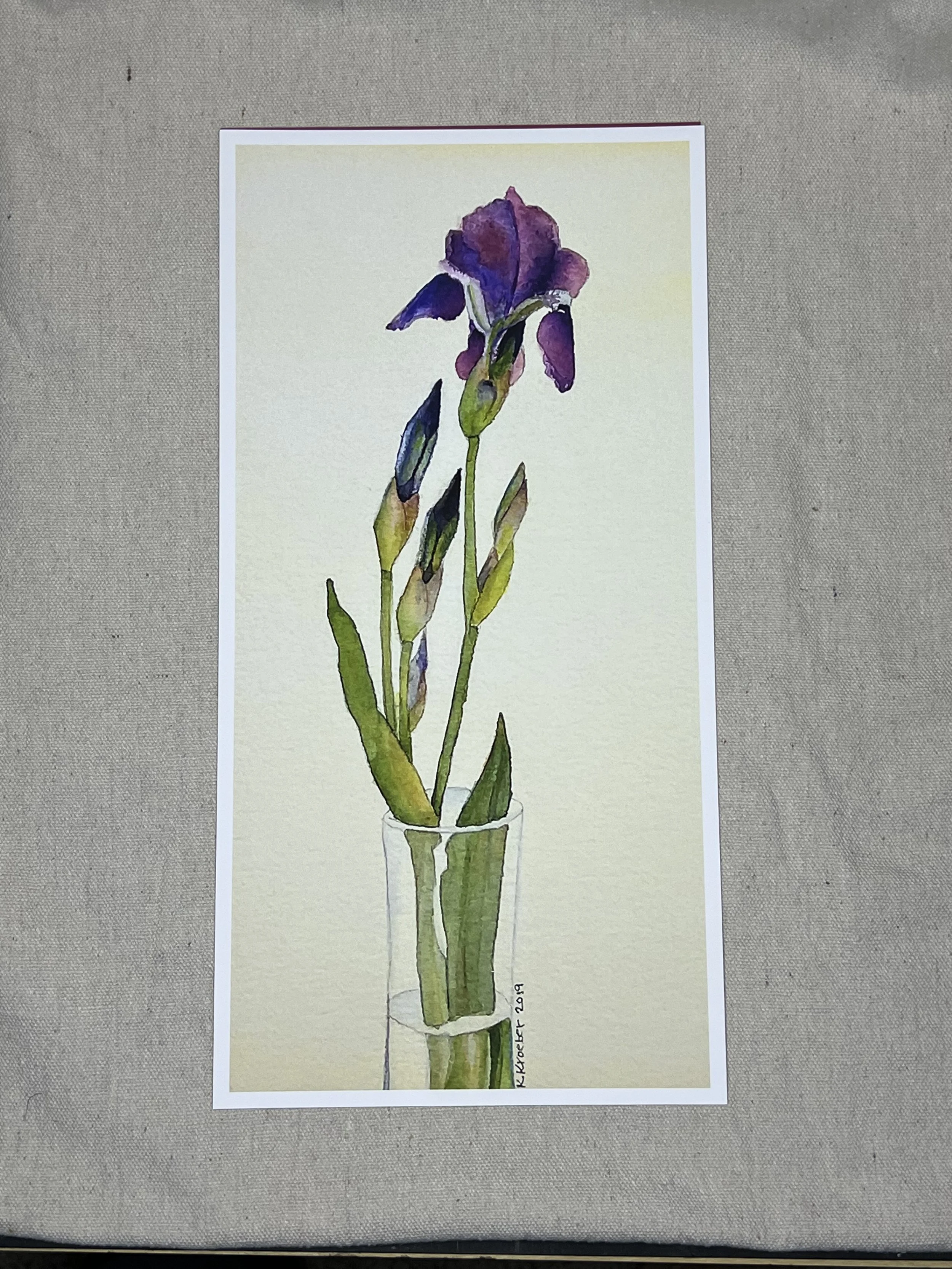 Iris for web site.jpeg