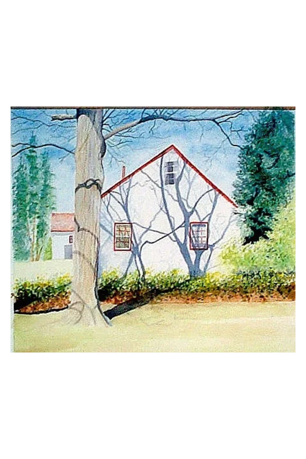 The Neighbors House