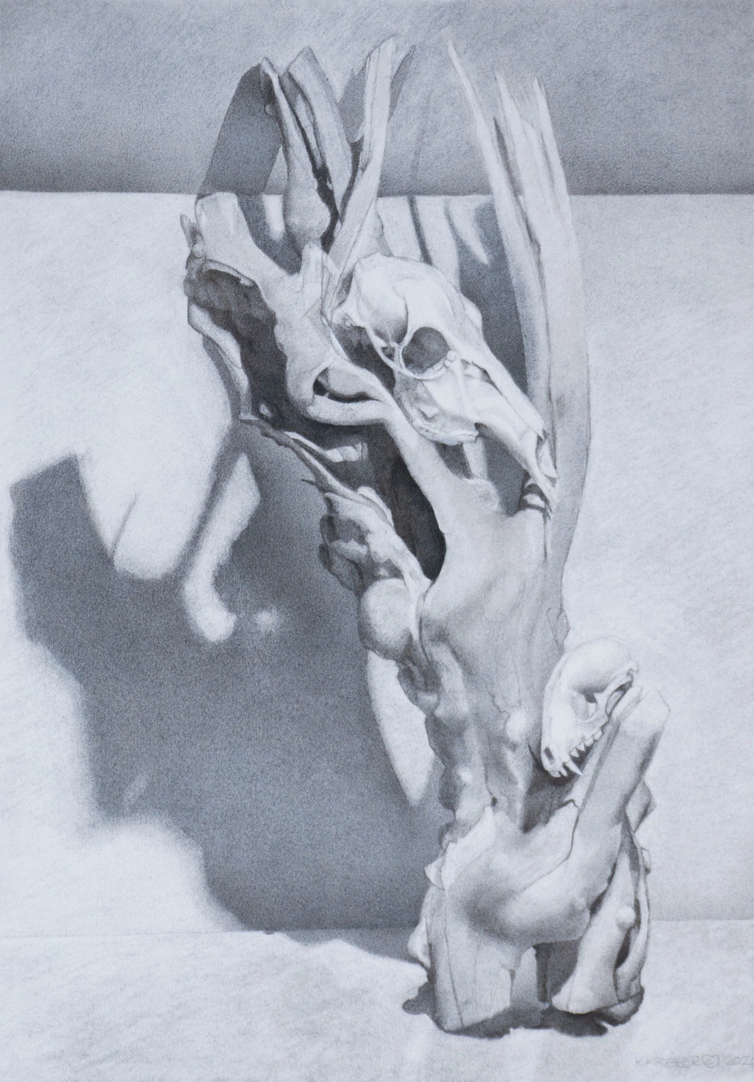 Skull Still Life-1.jpg