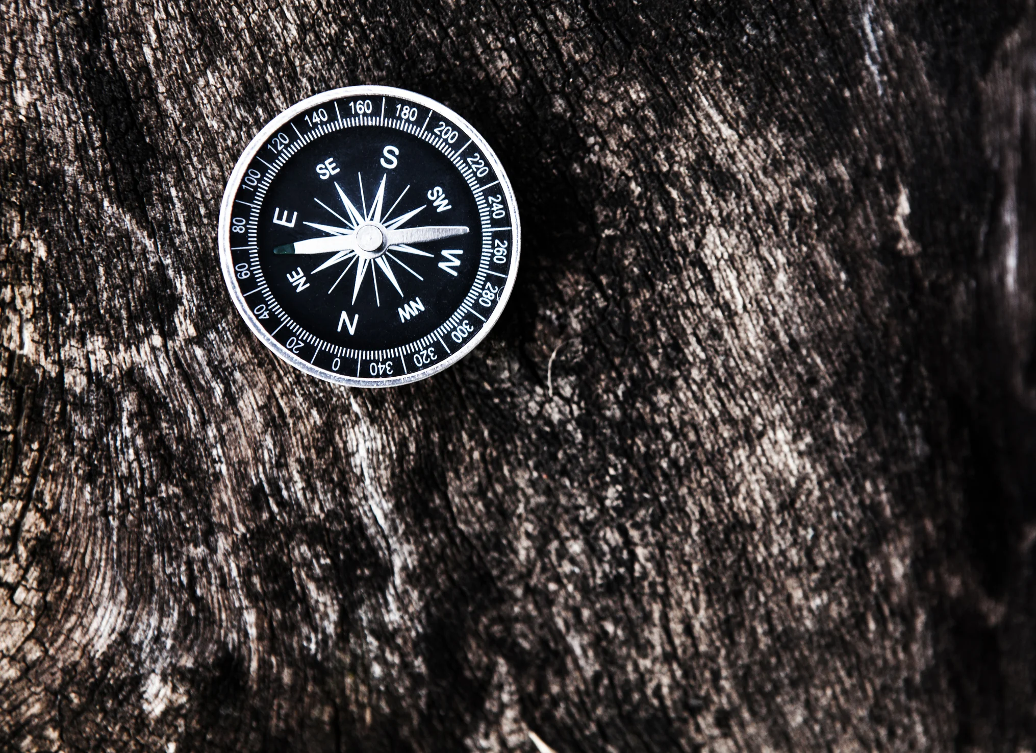 iStock-614448152.jpg