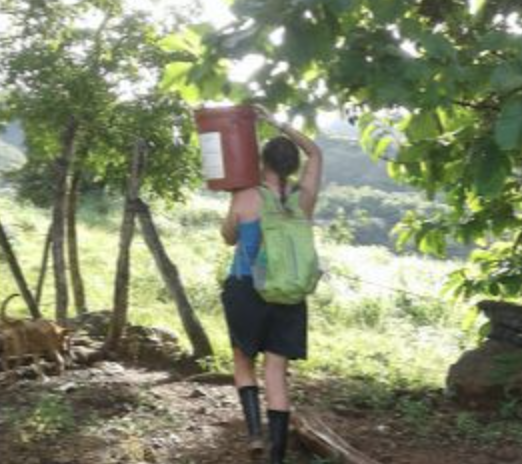 Life Off the Mountain, in Panama!