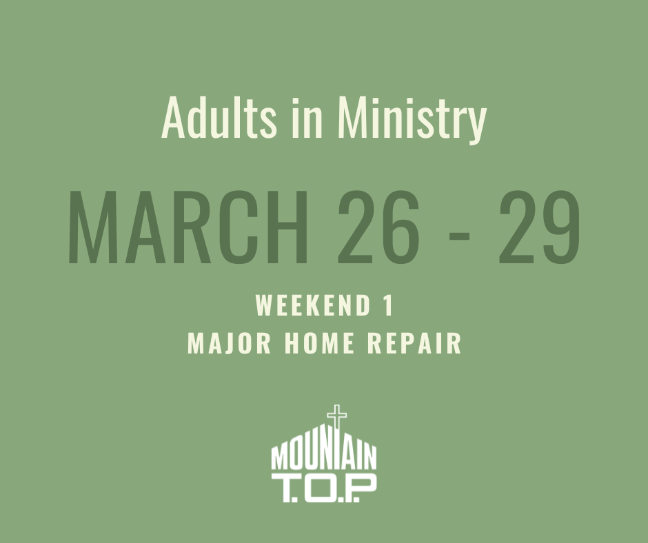 Adults in Ministry: Spring Weekend 1