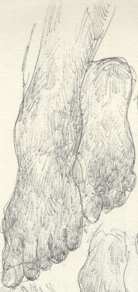 Screenshot 2025-07-26 at 11.41.00 PM.png