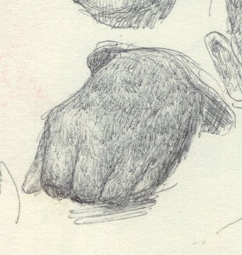 Screenshot 2025-07-26 at 3.16.49 PM.png