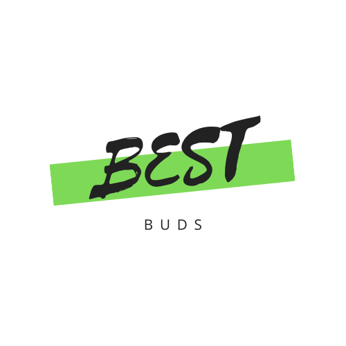 2021 Best Bud Sponsor 