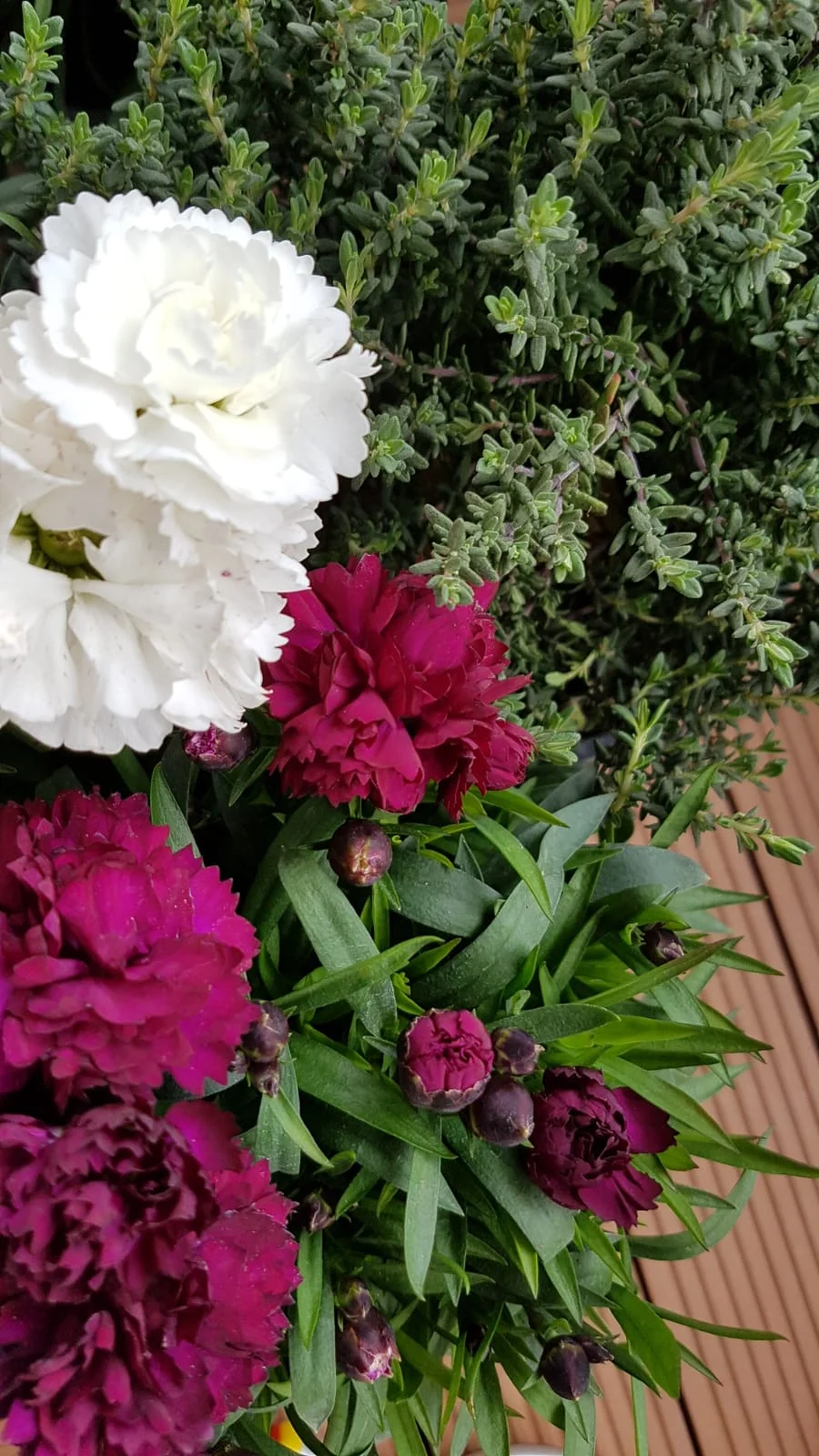 The balcony - Der Balkon