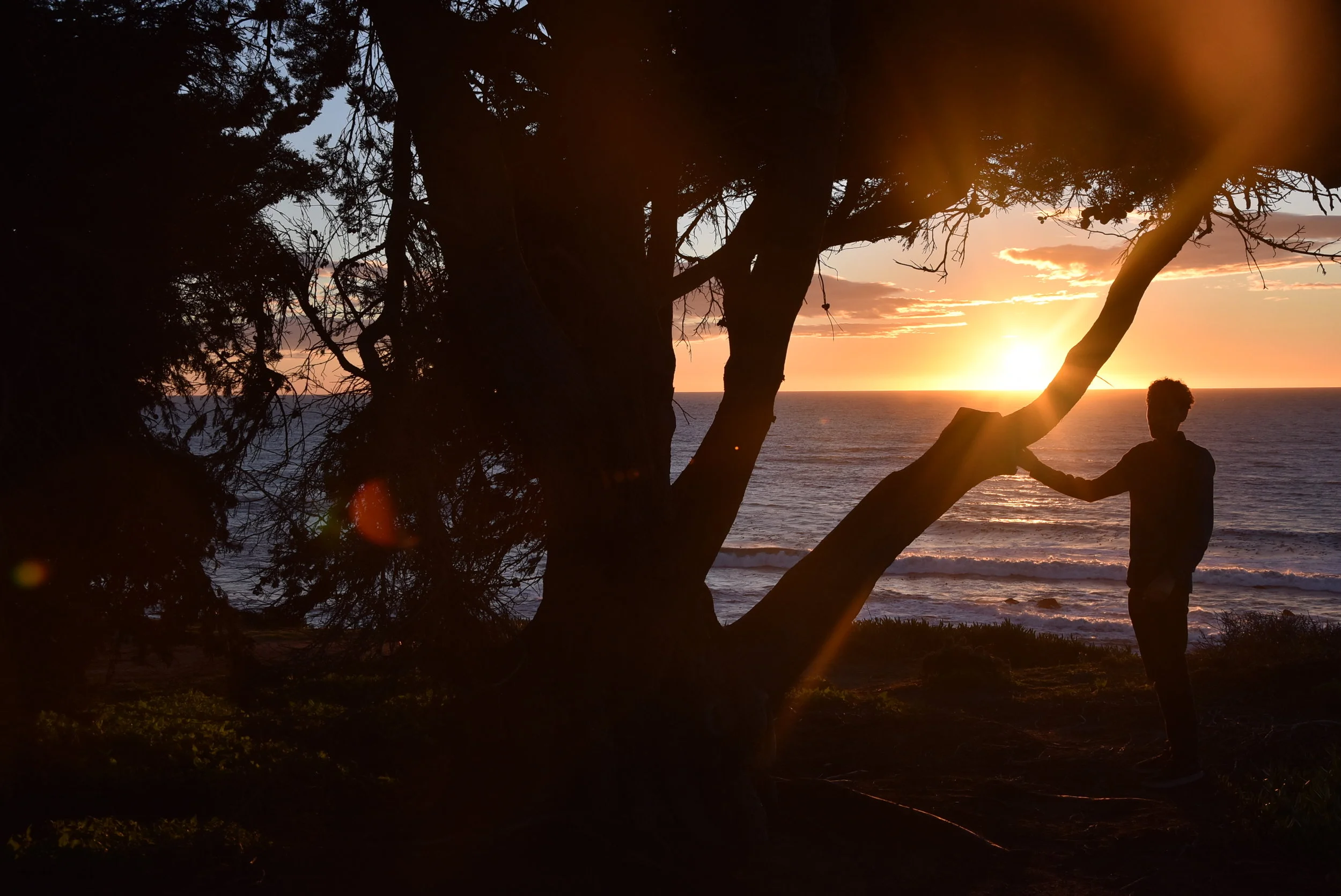 Santa Cruz – Die besten Aktivitäten, Restaurants und Festivals