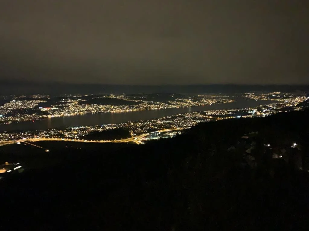 New Year's Eve above Zurich