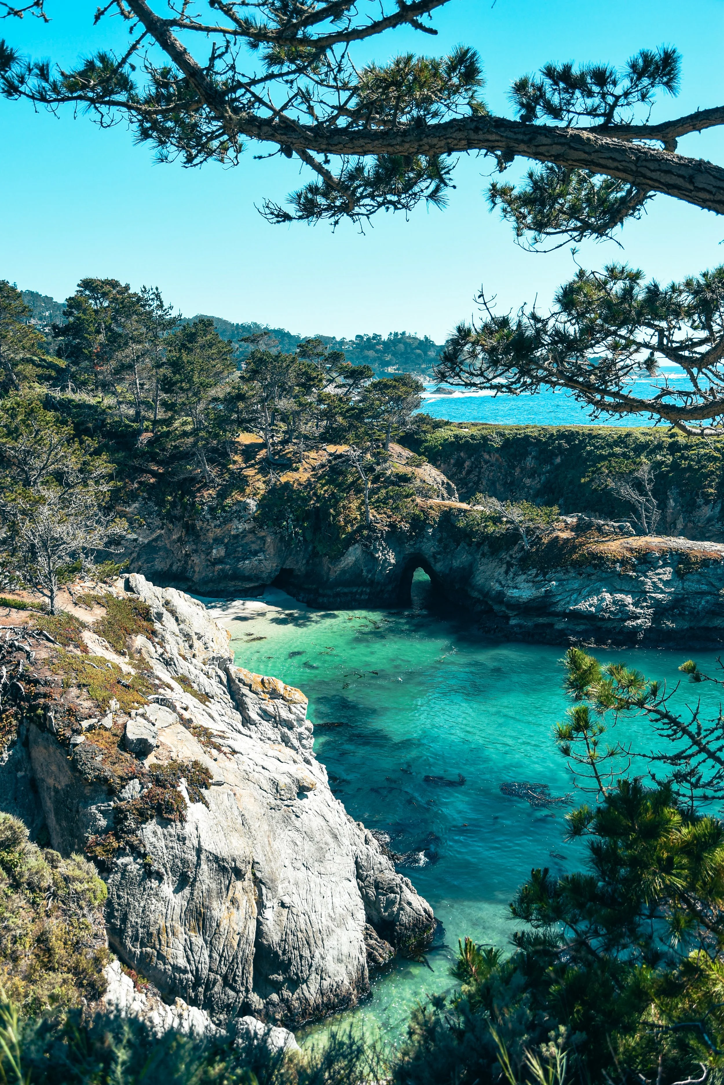 Point Lobos, der schönste Küstenabschnitt Kaliforniens