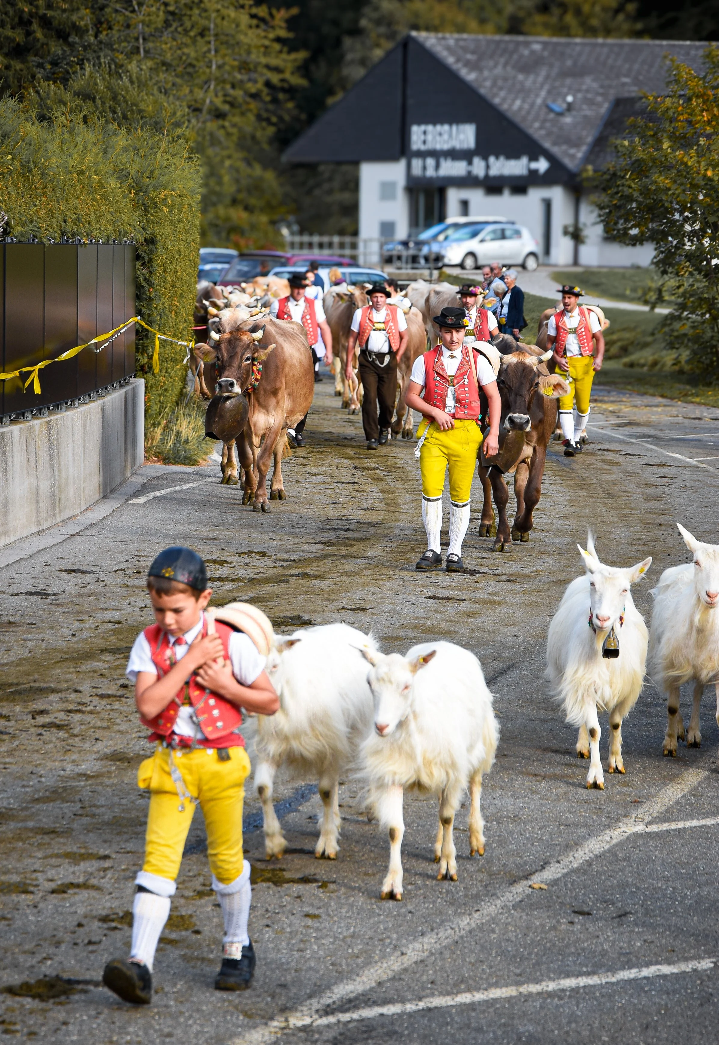 Viehschau Toggenburg