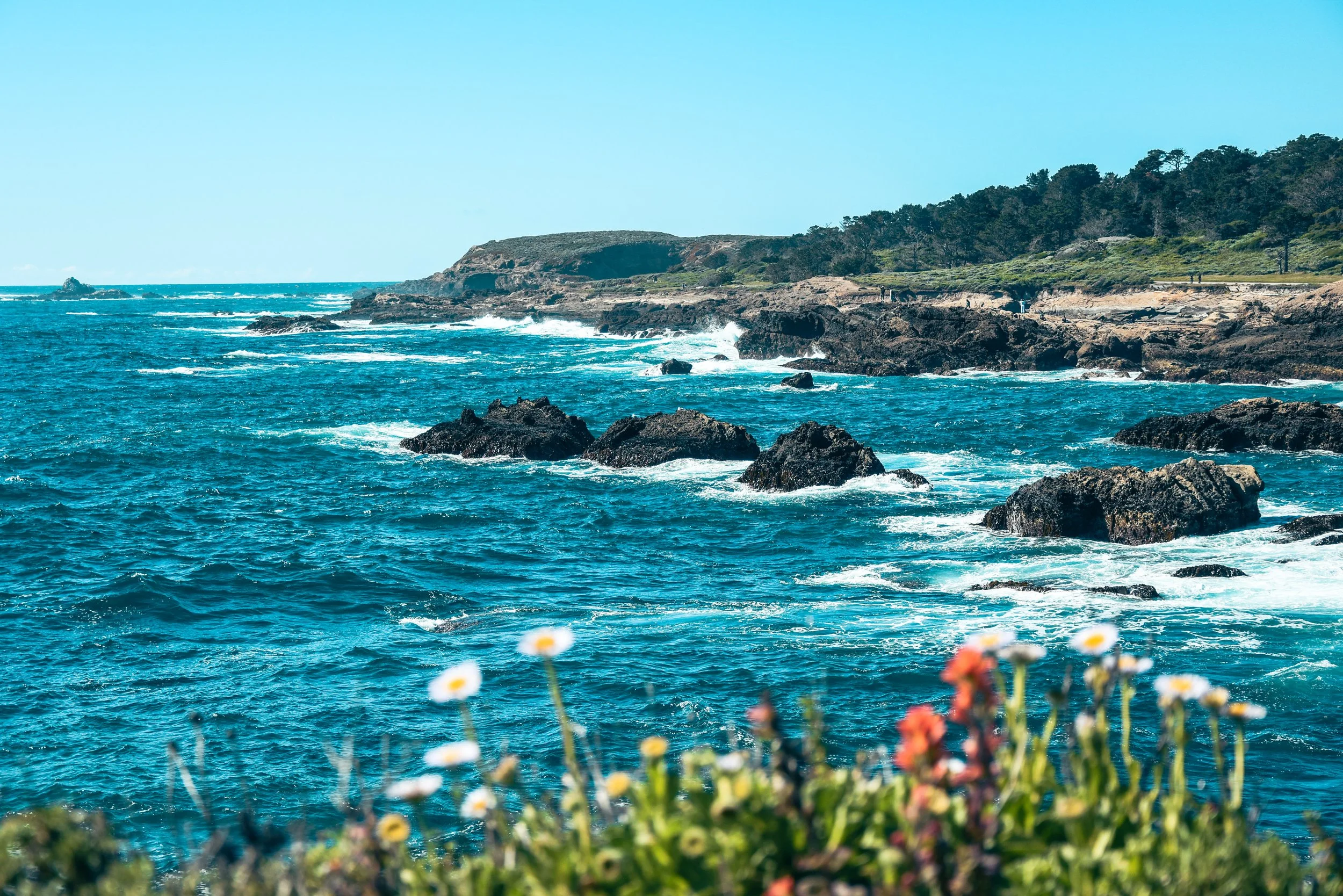 Point Lobos Cliff