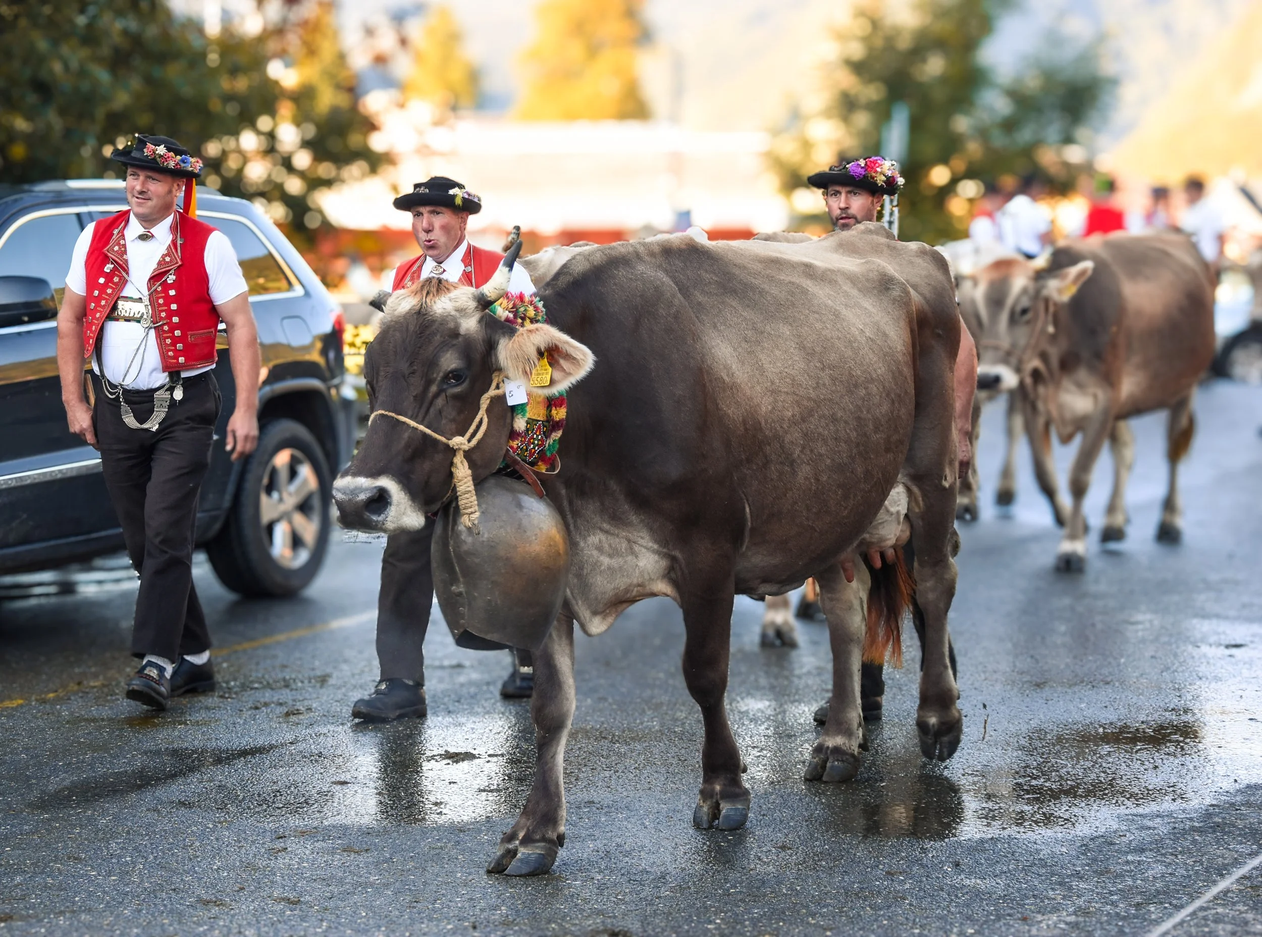 Alpabzug Schweiz
