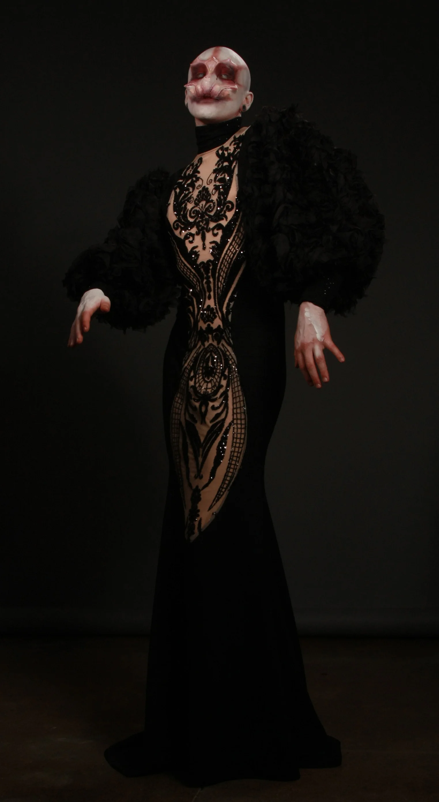 venusblack shoot crop.jpg