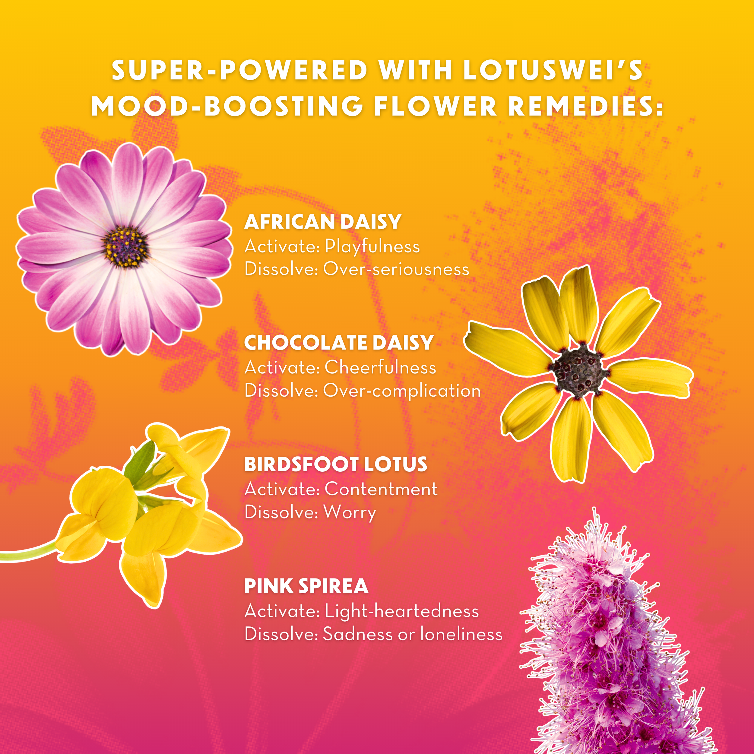 joy juice kombucha (4).png