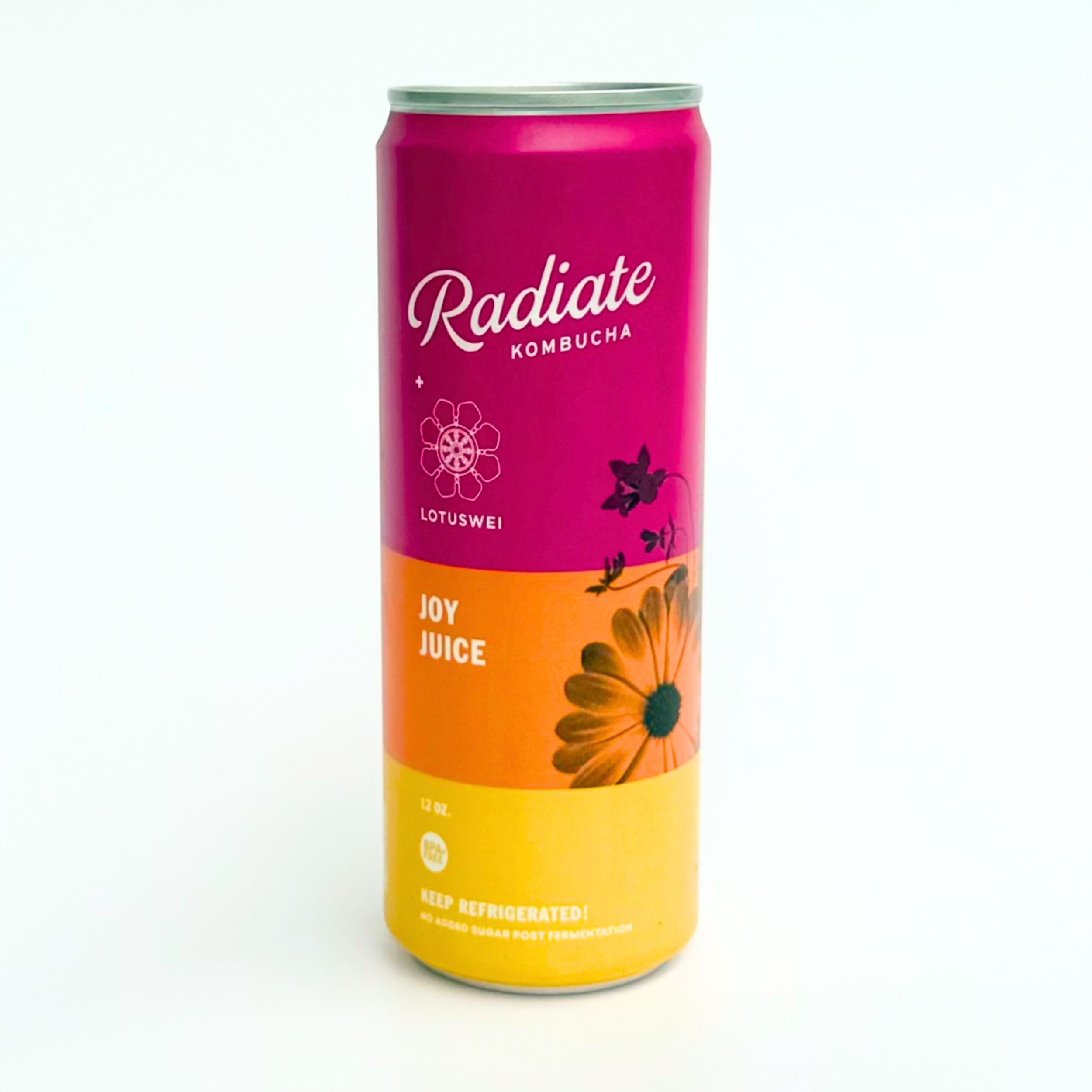joy juice kombucha (5).png