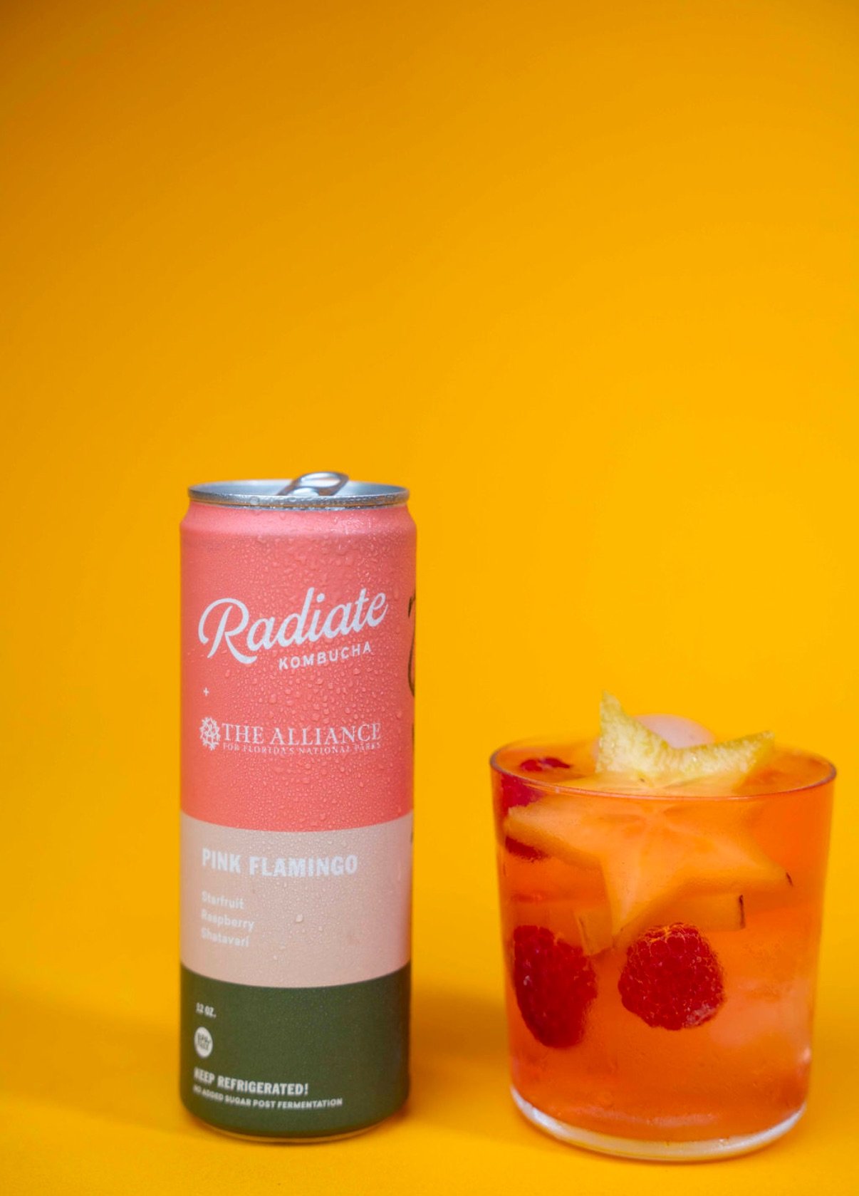 Radiate Kombucha by Angle.jpeg