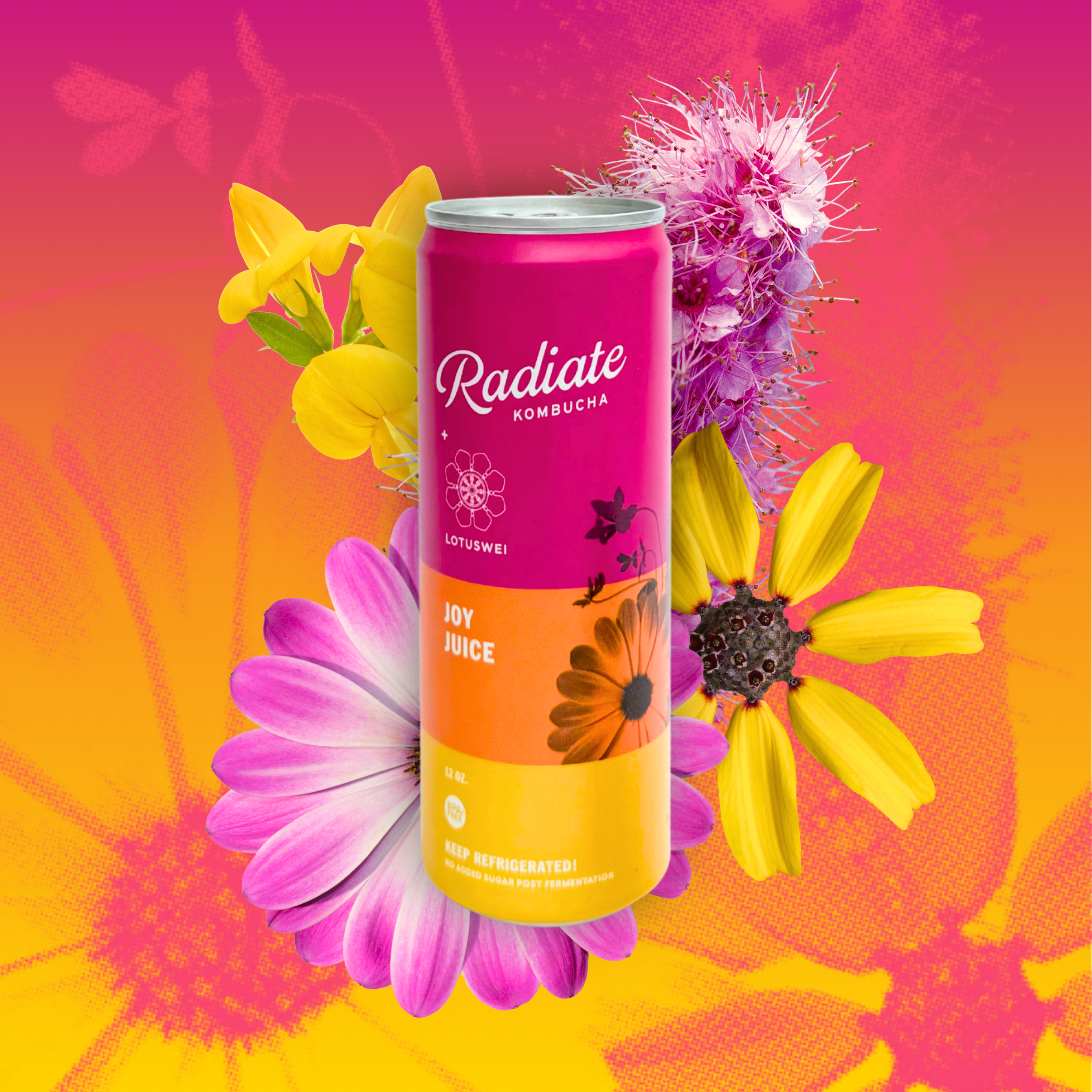 joy juice kombucha (1).png