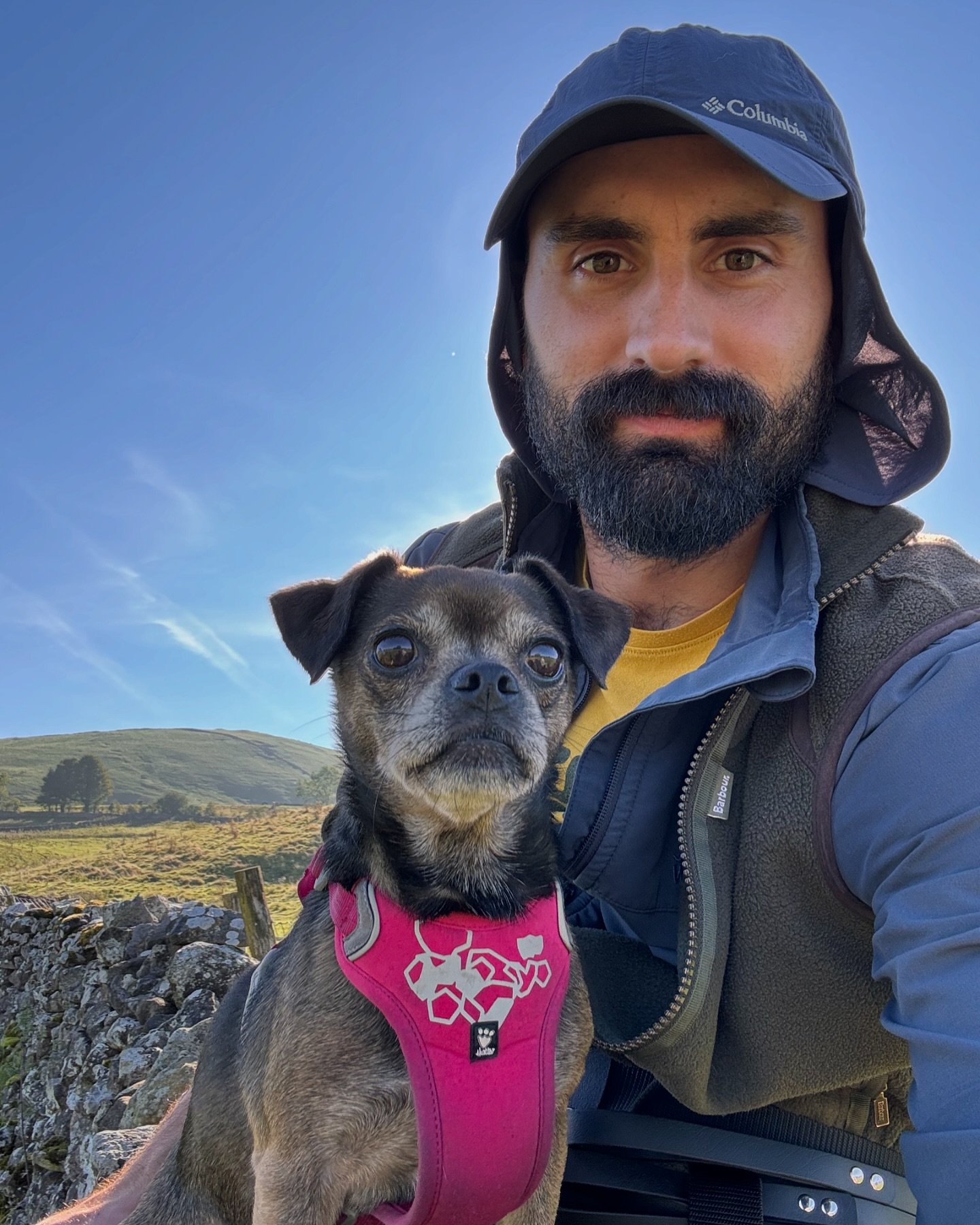 ☀️Enjoying the September sunshine with Molly Jug ☀️