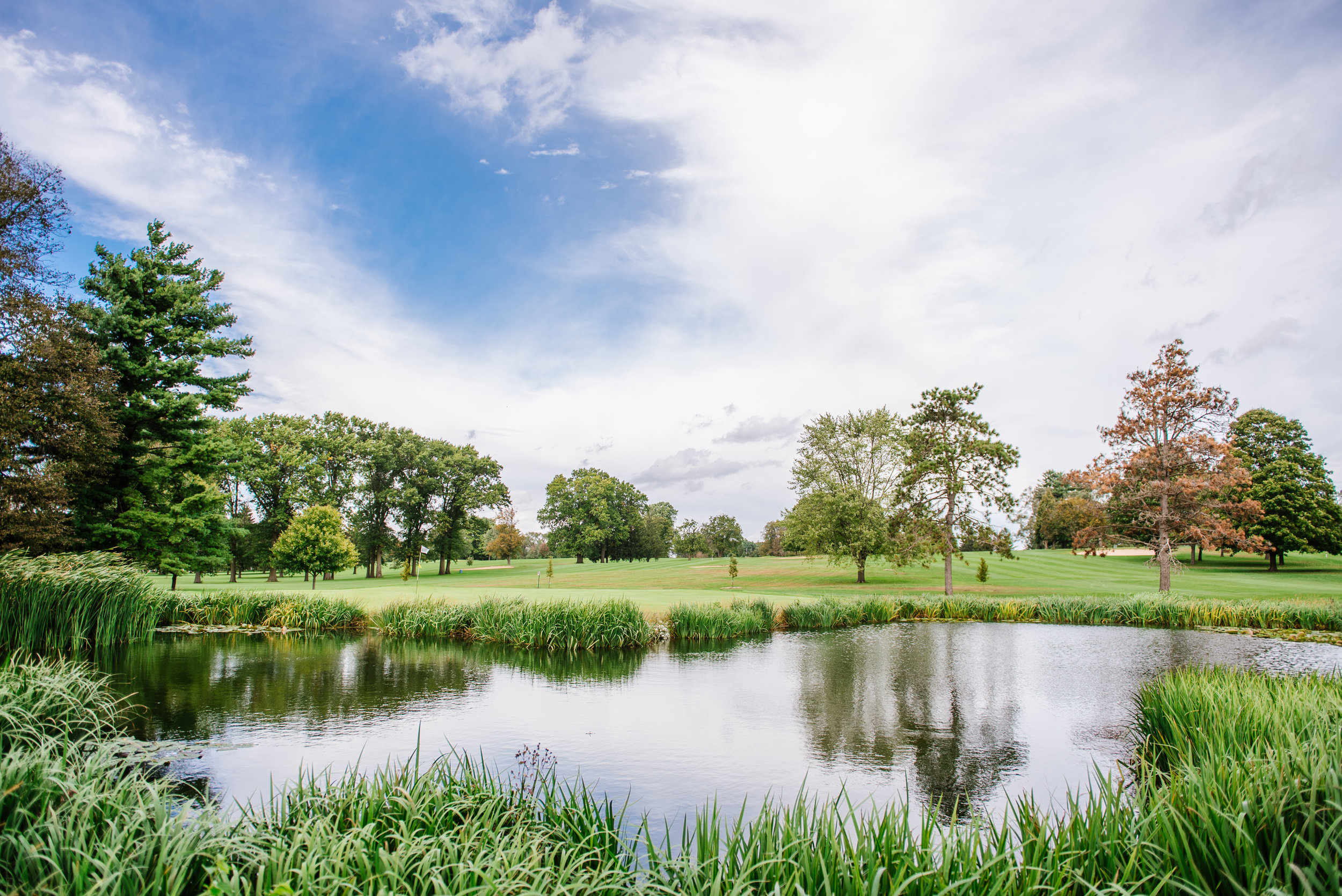 Sandy Hollow Golf Course Golf Rockford Sandy Hollow Golf Course Golf Rockford