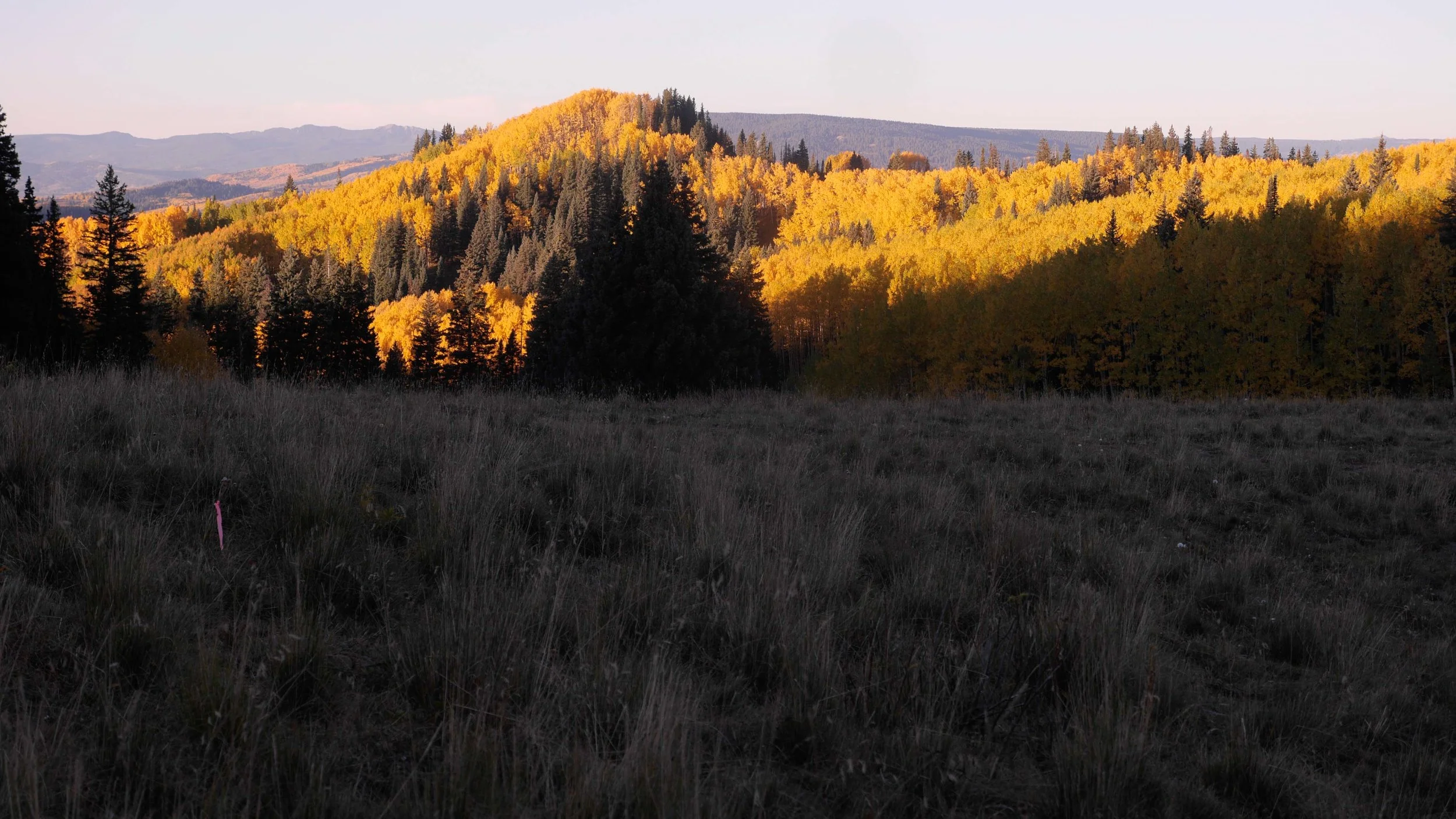 _1620949.jpg