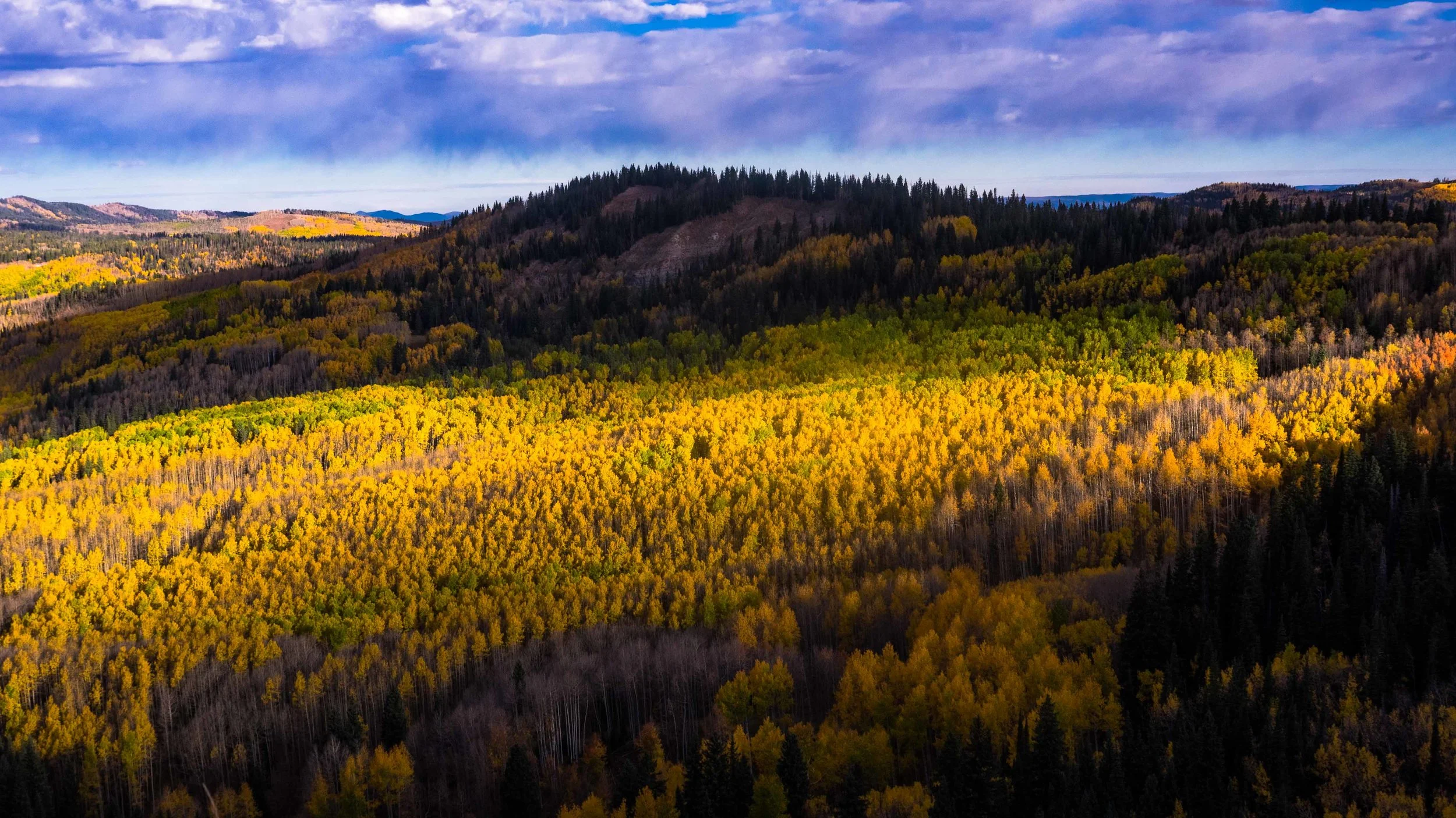 Fall005.jpg