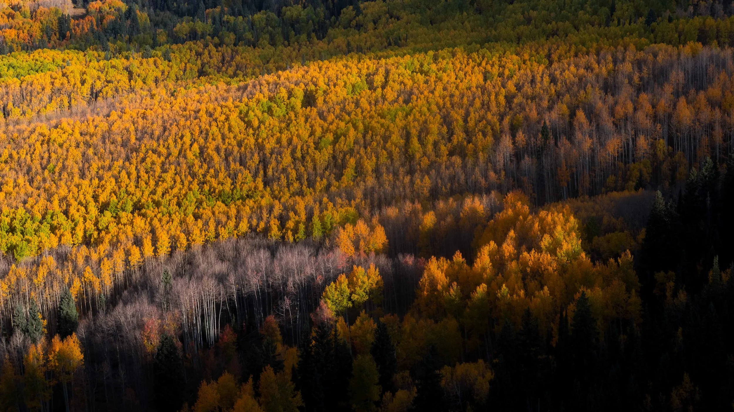 Fall006.jpg
