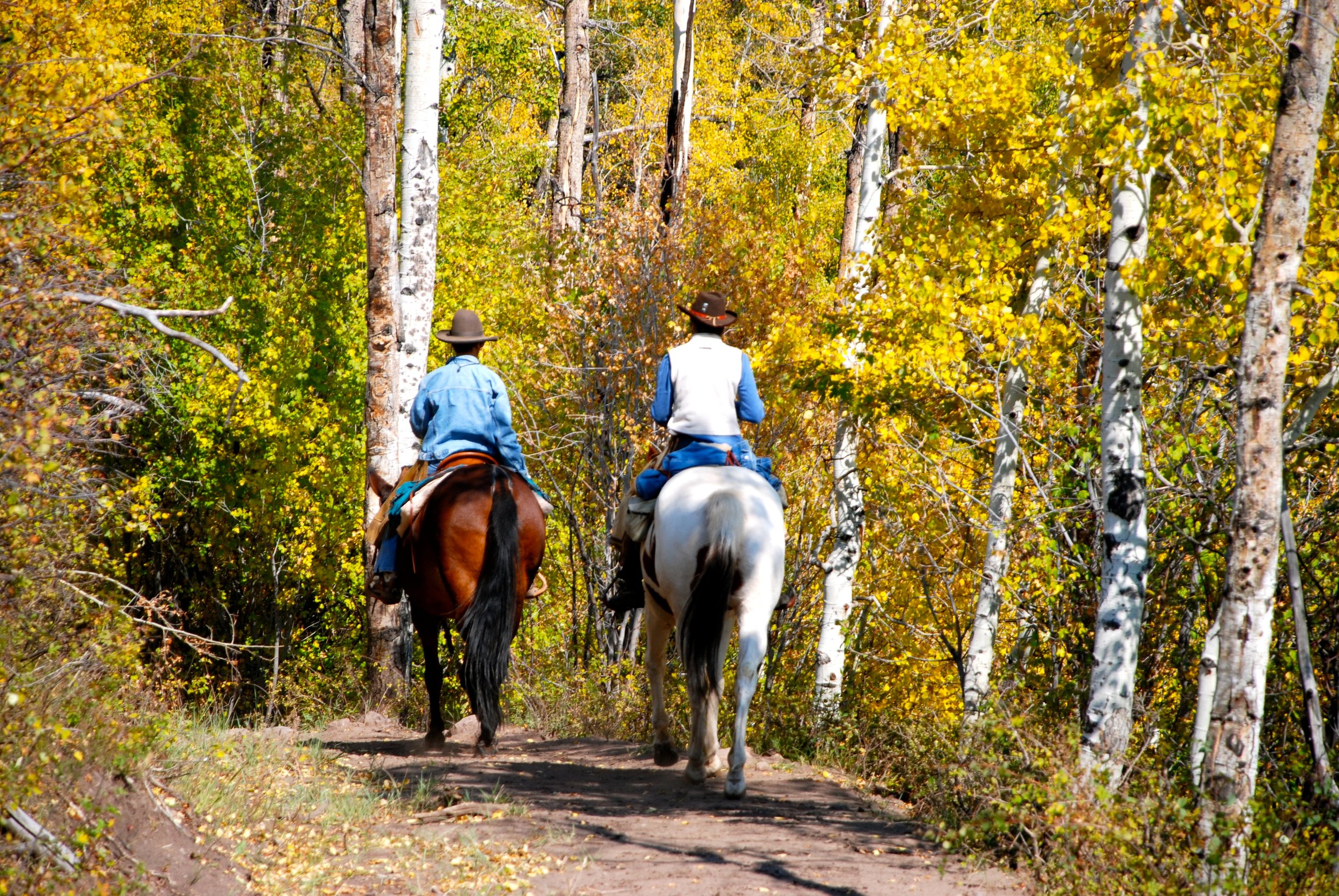 ThompsonDivideHart-horseback.jpg