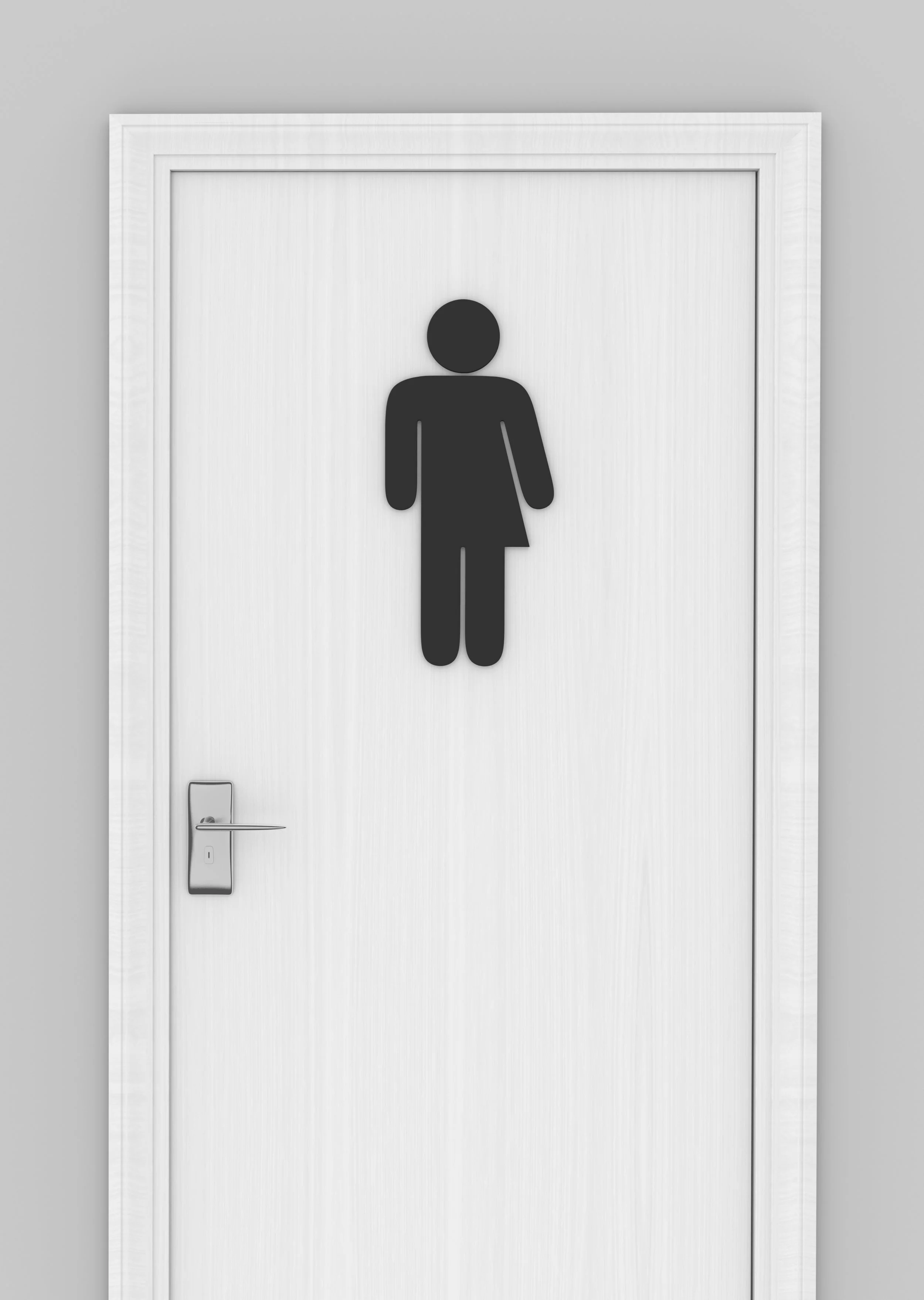 Where Do We Go from Here? Bathrooms and Other Legal Developments in Transgender Issues